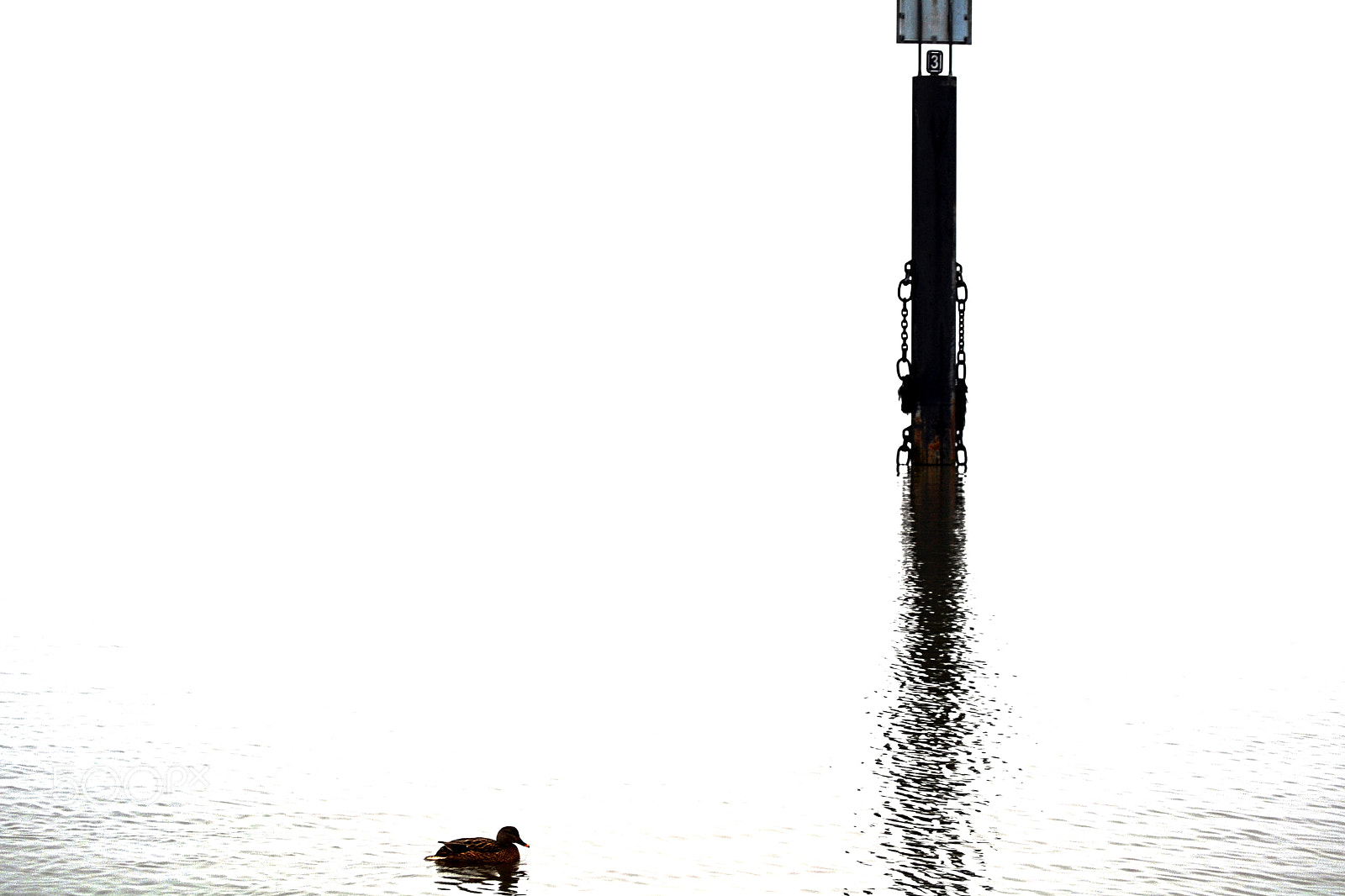 Nikon D3100 sample photo. Alone photography