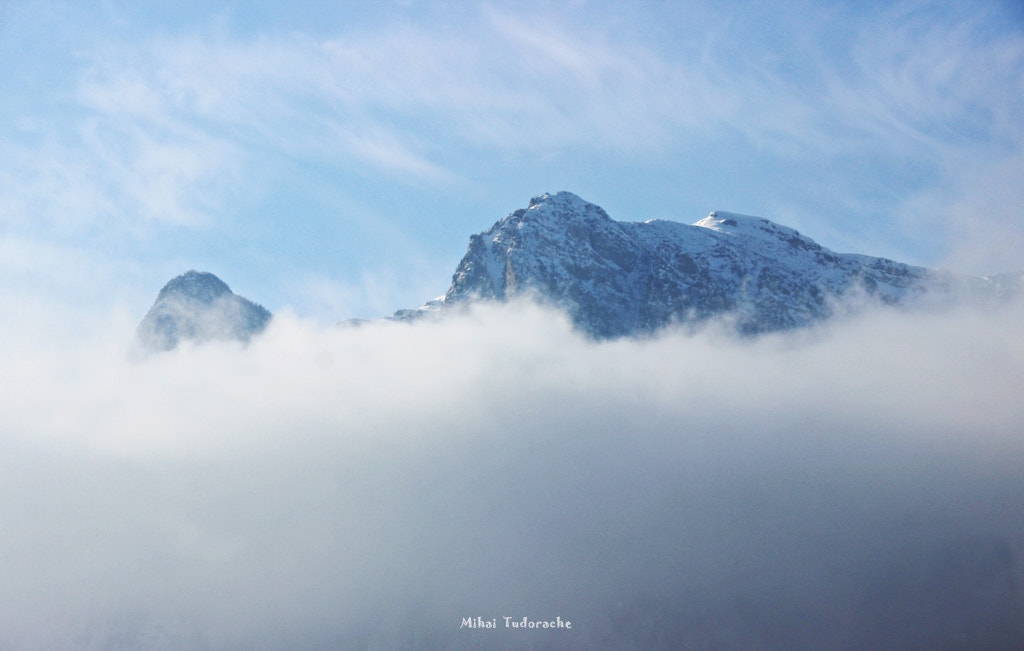 Sigma 18-250mm F3.5-6.3 DC OS HSM sample photo. Up there... photography