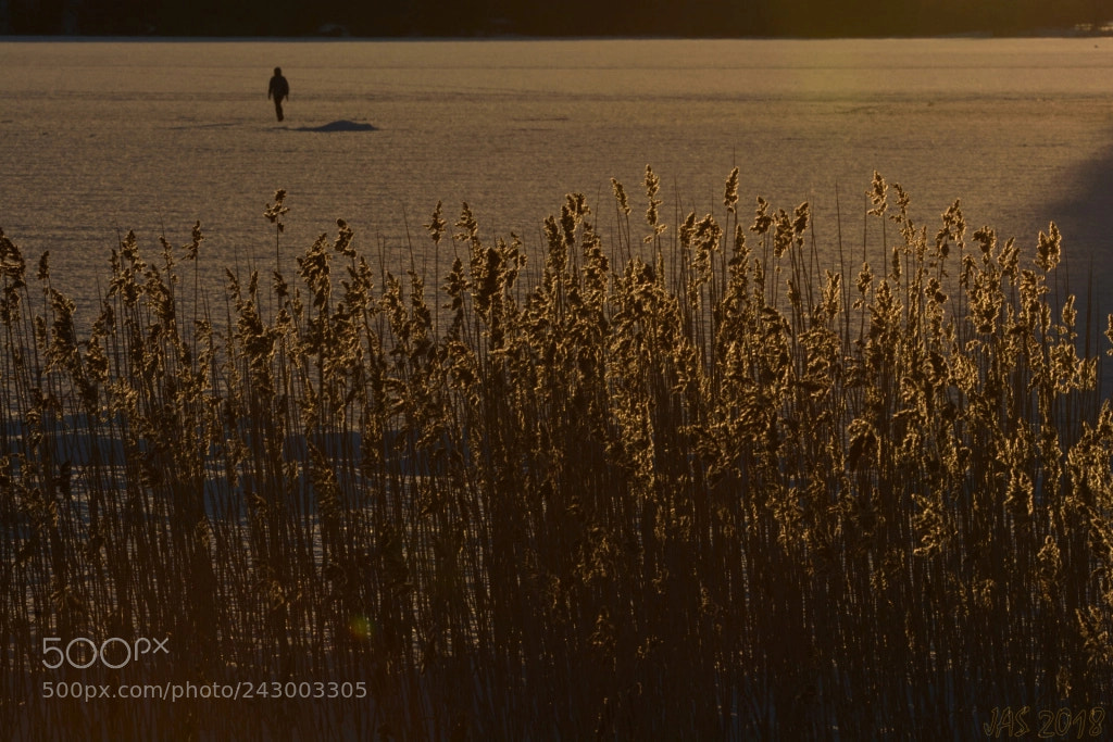 Nikon D7100 sample photo. Vinterdag ved jonsvannet photography