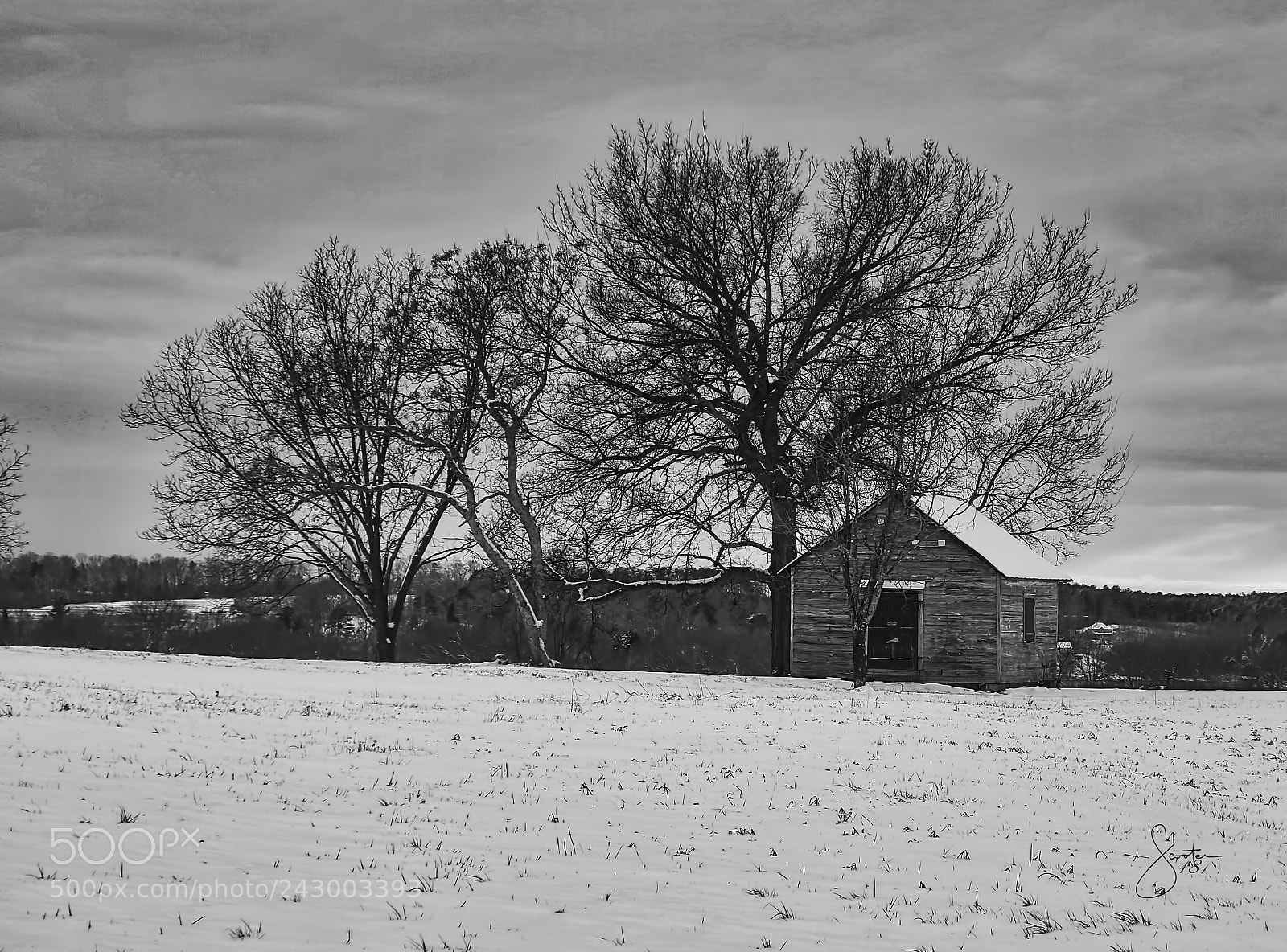 Canon EOS 7D Mark II sample photo. Sc snow photography