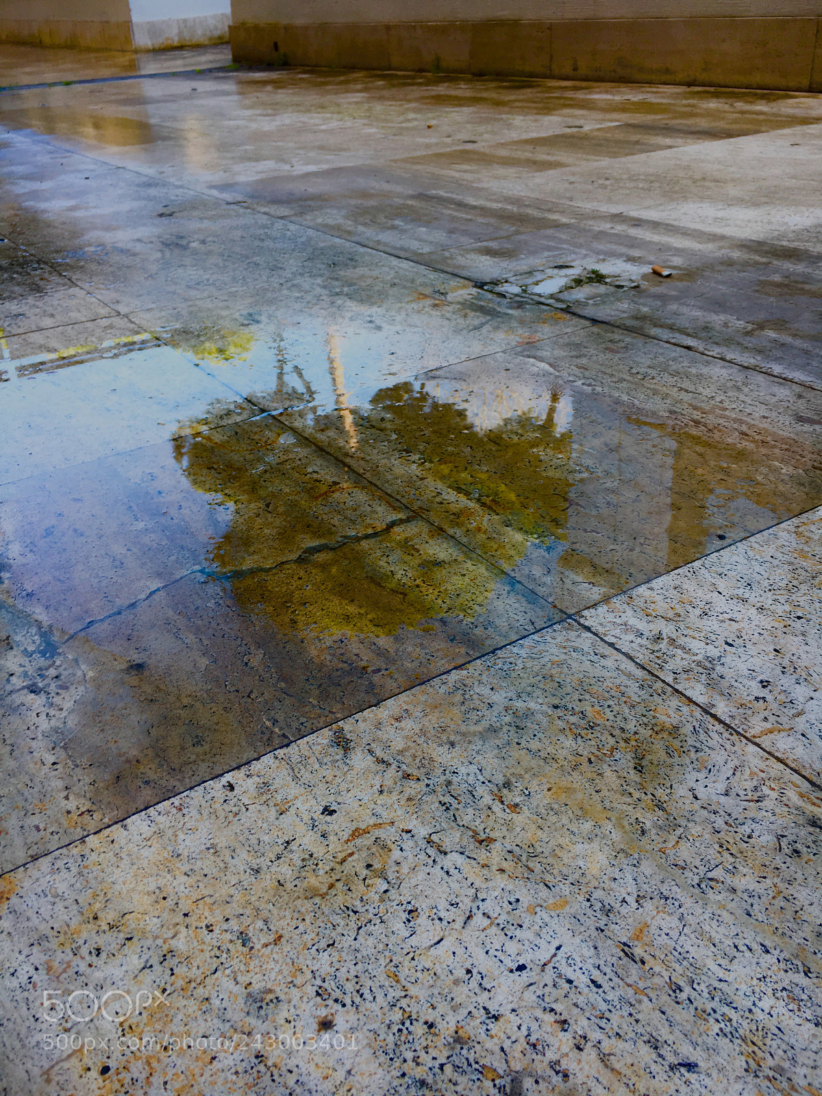 Apple iPhone 6s sample photo. “reflection” photography