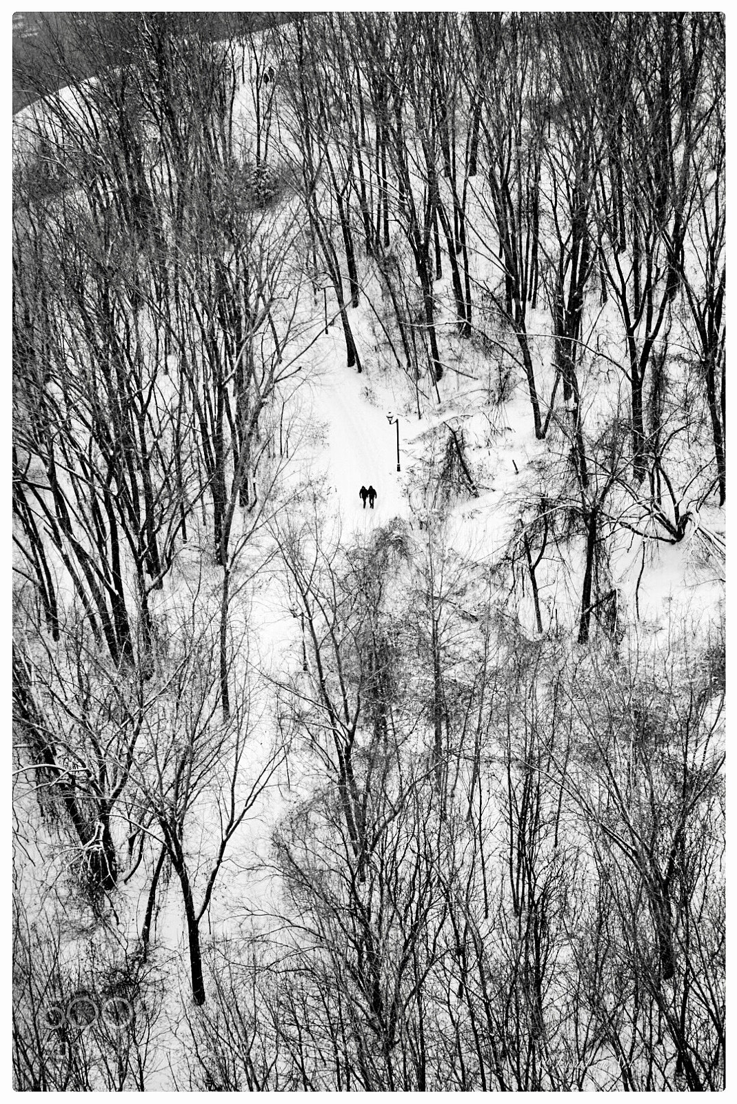 Sony a7R II sample photo. Winter in montreal photography