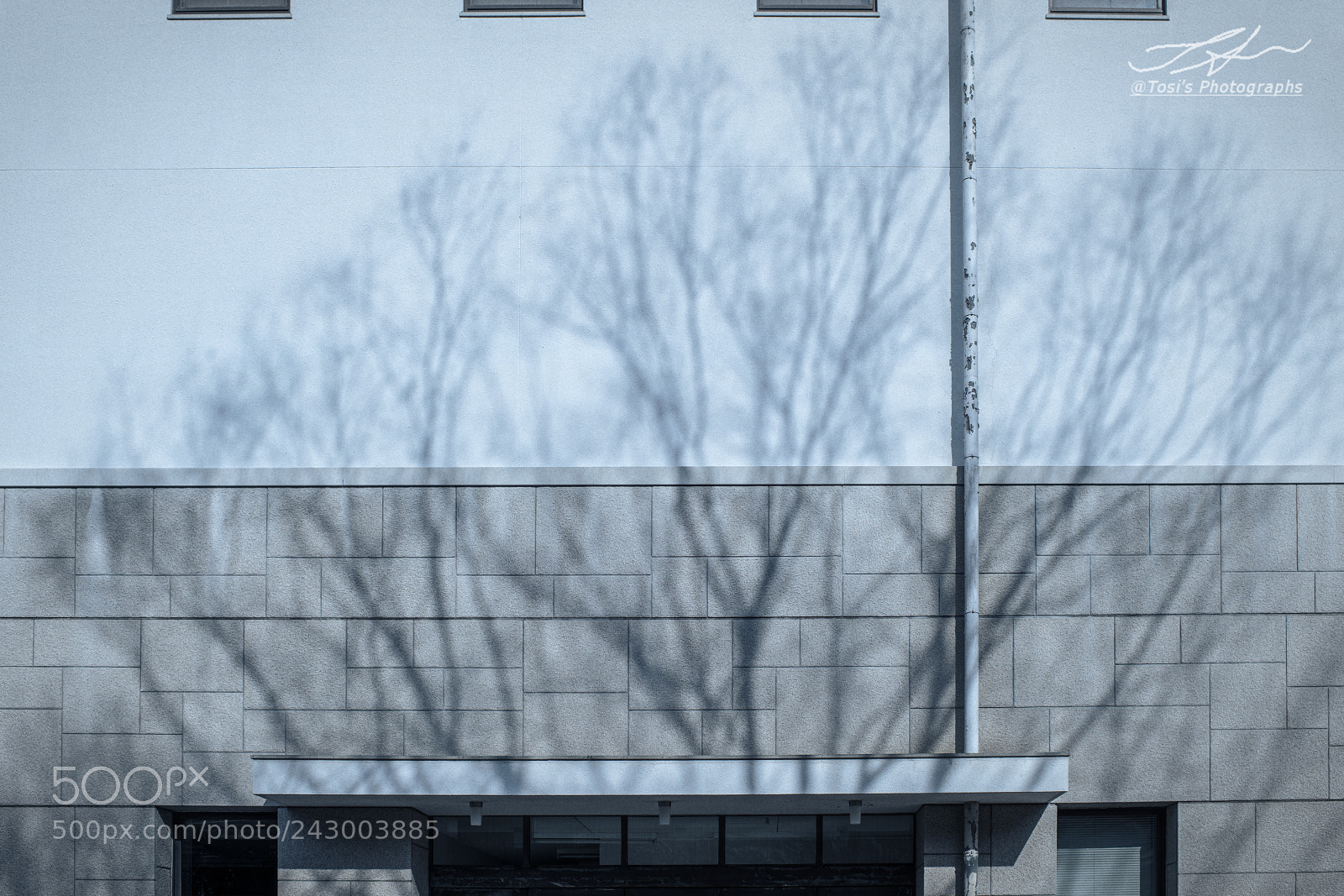 Nikon D850 sample photo. Screen photography