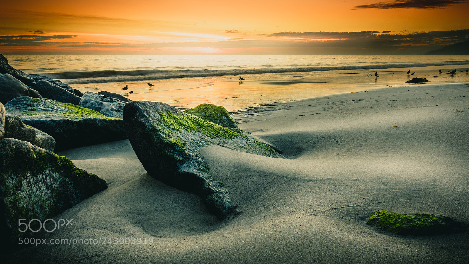Canon EOS 7D Mark II sample photo. Beautiful moss covered rock photography