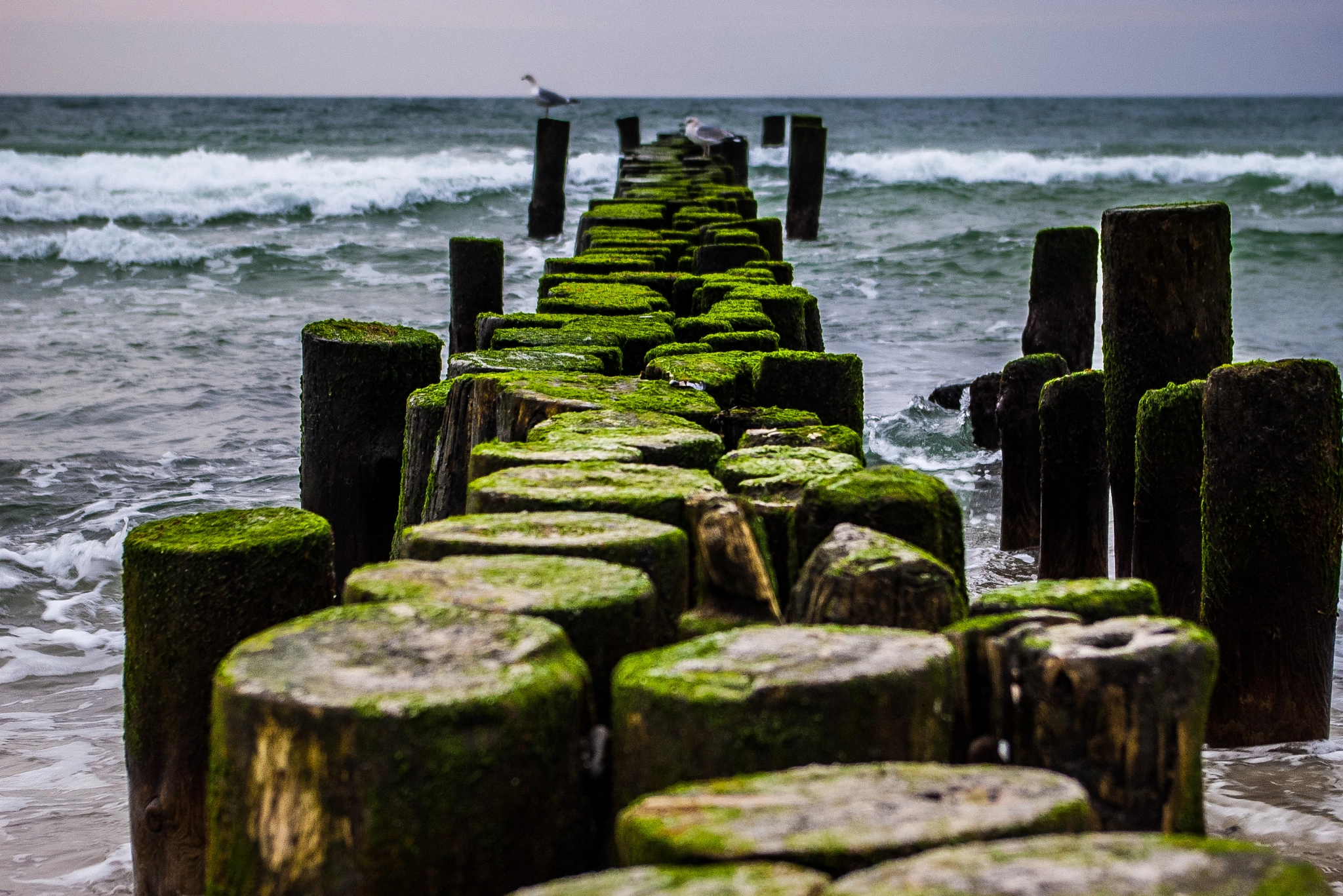 Pentax K100D sample photo. Mossy sea wall photography