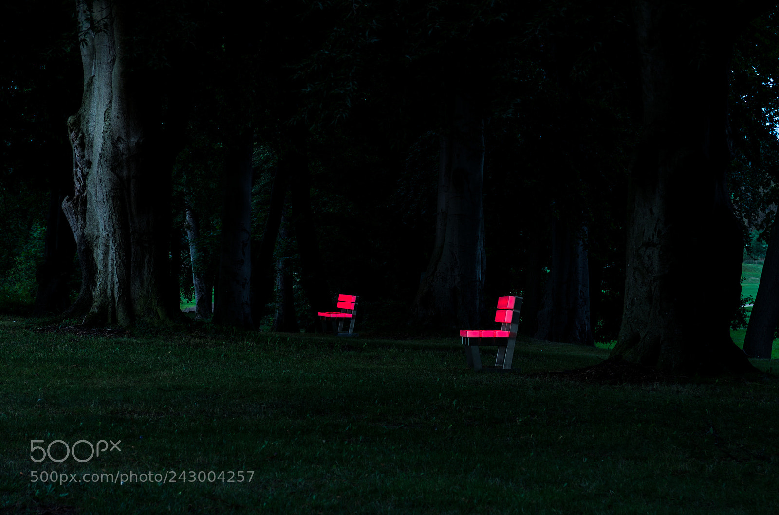 Pentax K-5 sample photo. Red photography