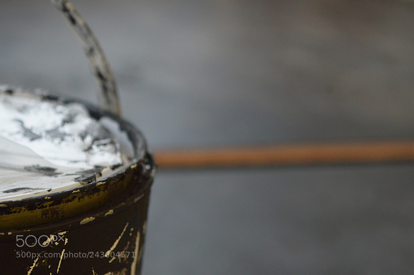 Nikon D3200 sample photo. Watching it dry photography