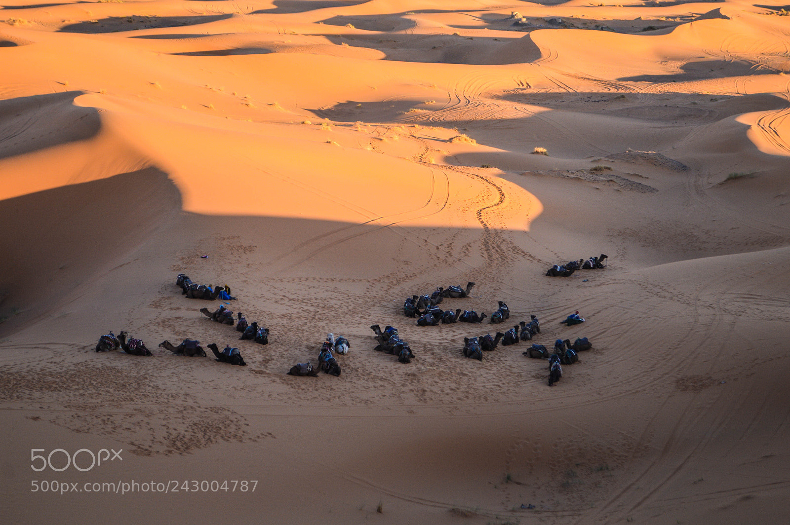 Nikon D3200 sample photo. Merzouga, sahara photography