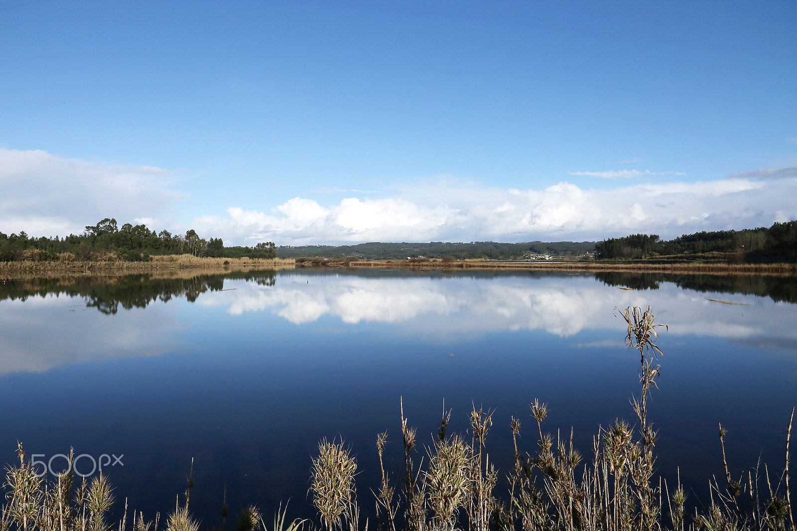 Canon EOS 6D + Canon EF 24-105mm F3.5-5.6 IS STM sample photo. Lagoon photography