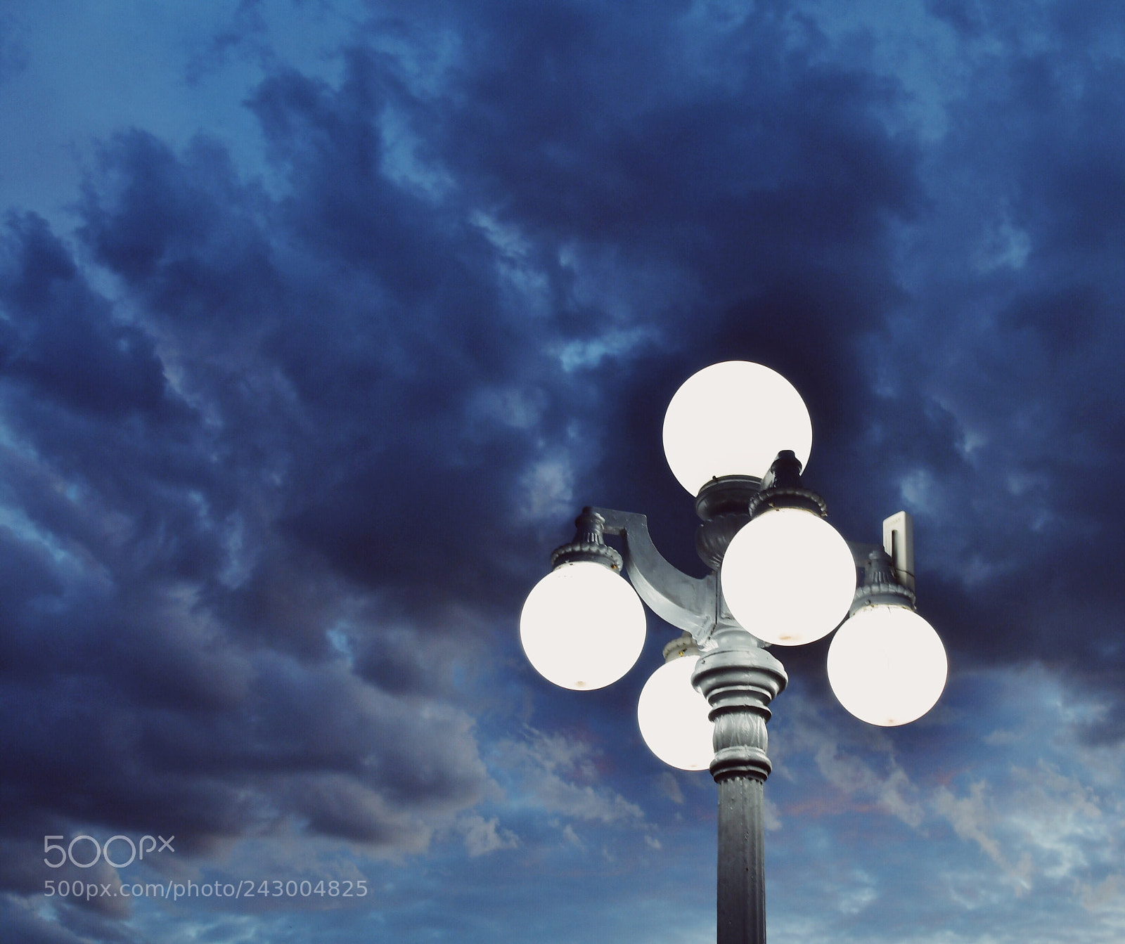 Nikon D500 sample photo. Light photography