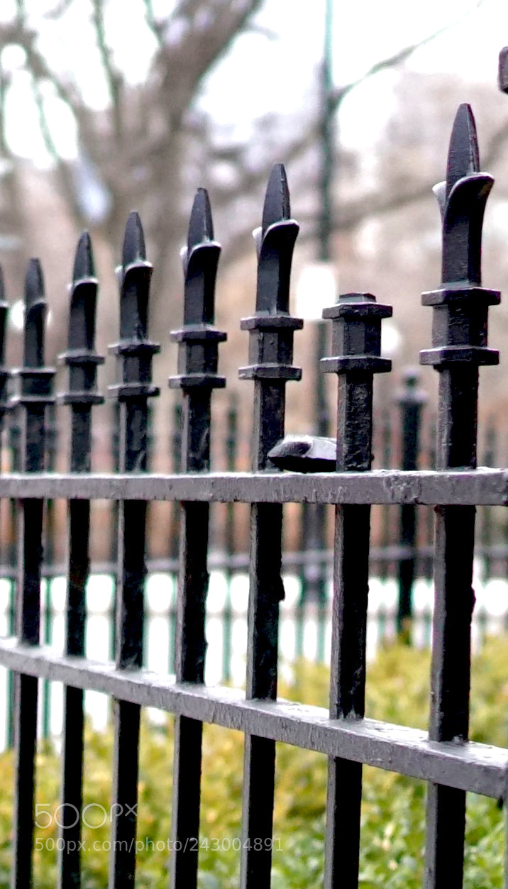 Sony a6500 sample photo. Fence by bostons public photography