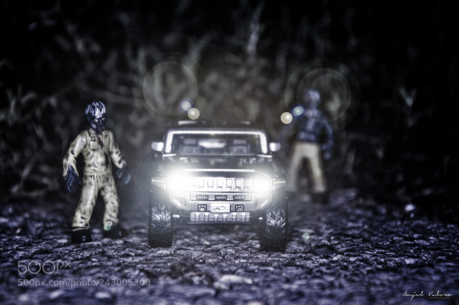 Nikon D7100 sample photo. Untitled photography