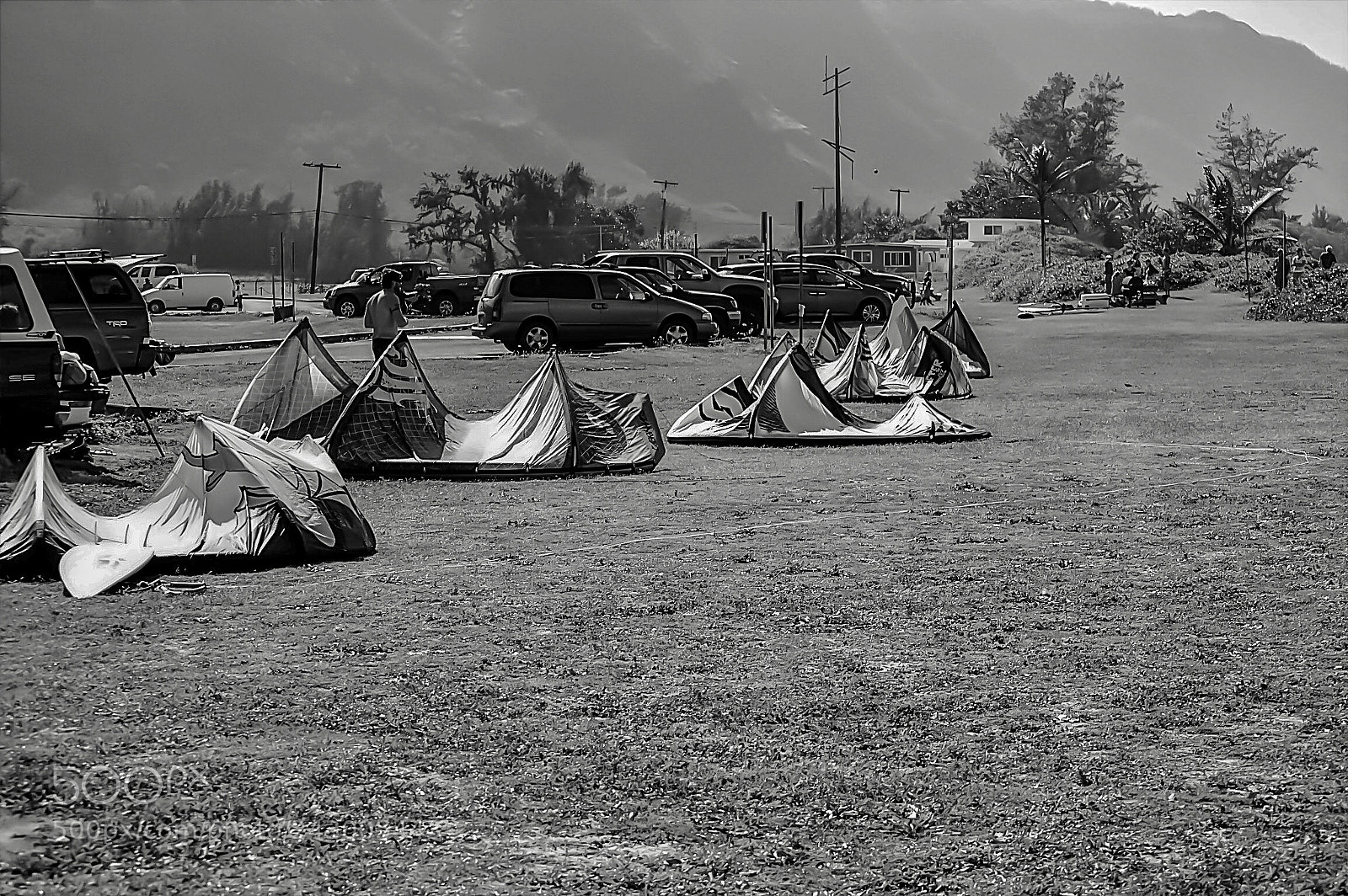 Nikon D3200 sample photo. Lined up photography