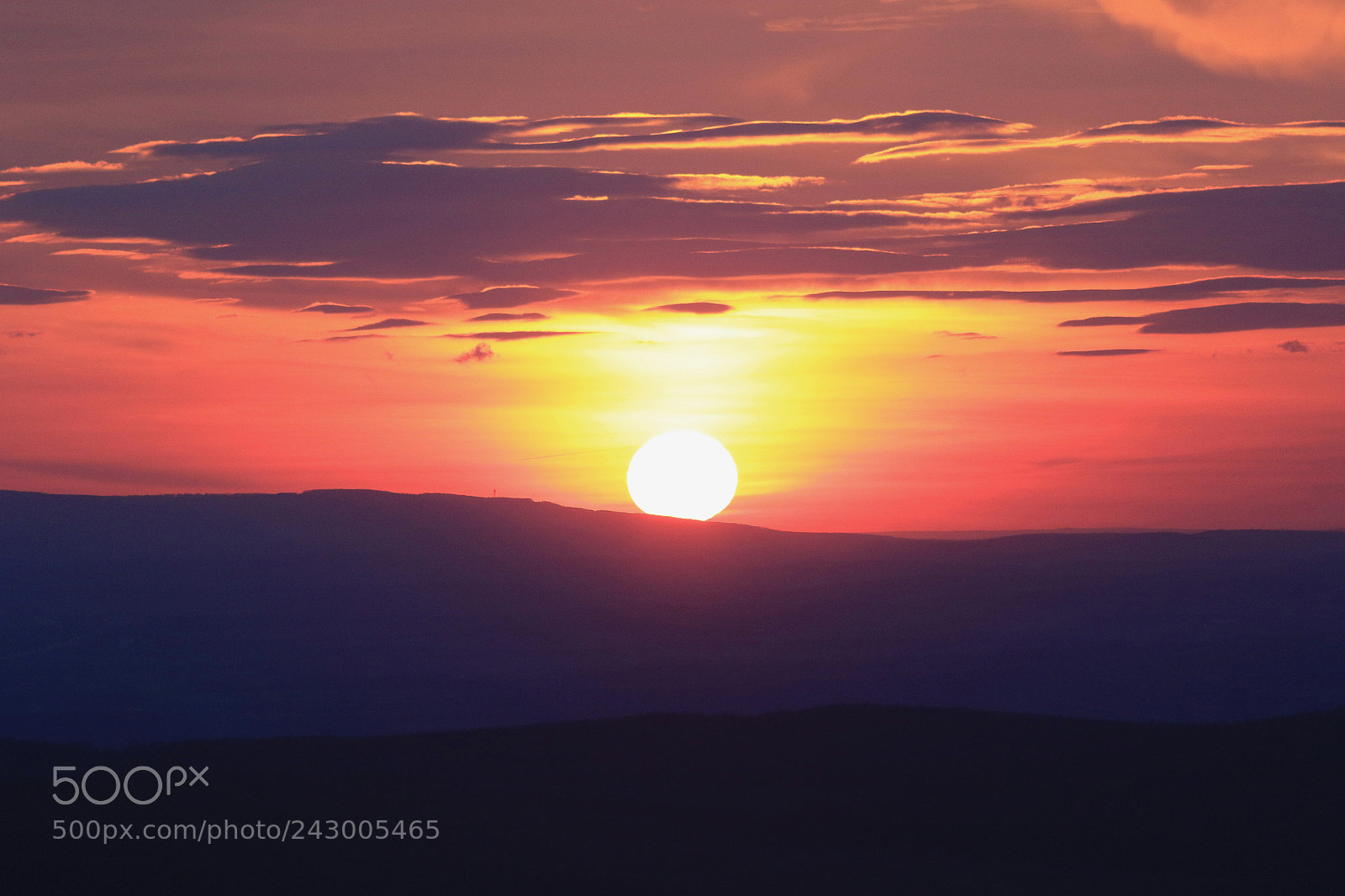 Canon EOS 7D Mark II sample photo. Musketeer sunsets third piece photography