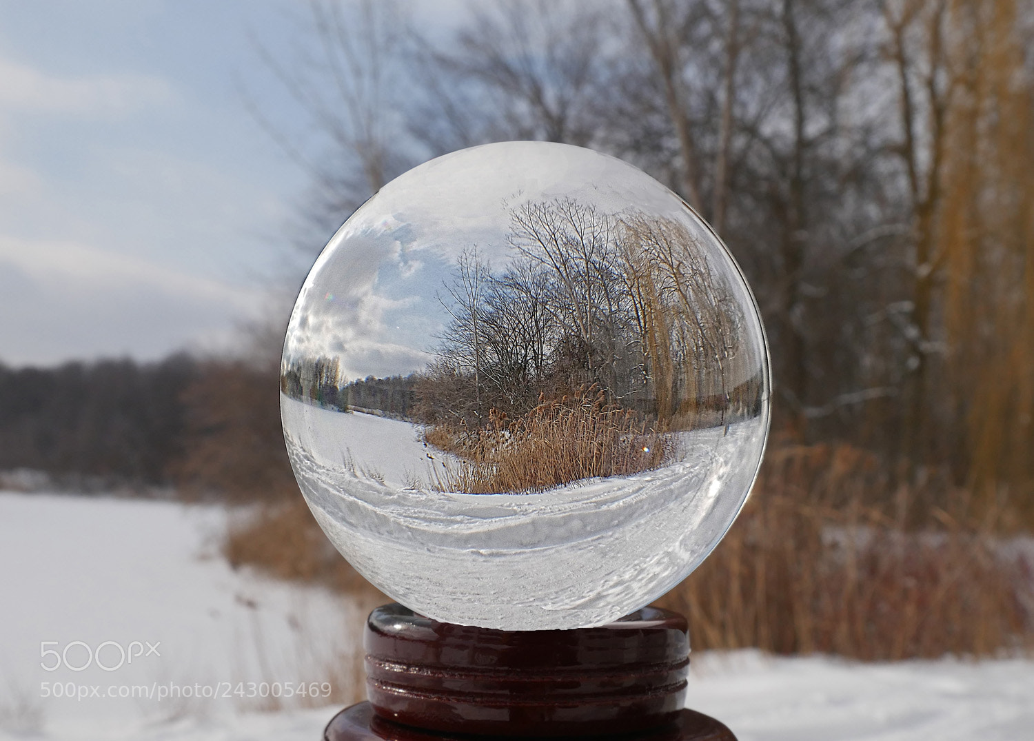 Panasonic Lumix DMC-G7 sample photo. Cold and sunny photography