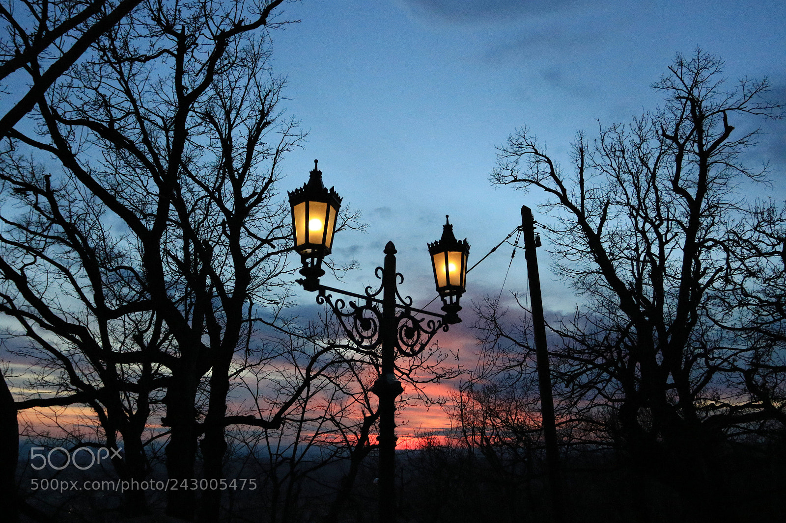 Canon EOS 7D Mark II sample photo. Musketeer sunsets main piece photography