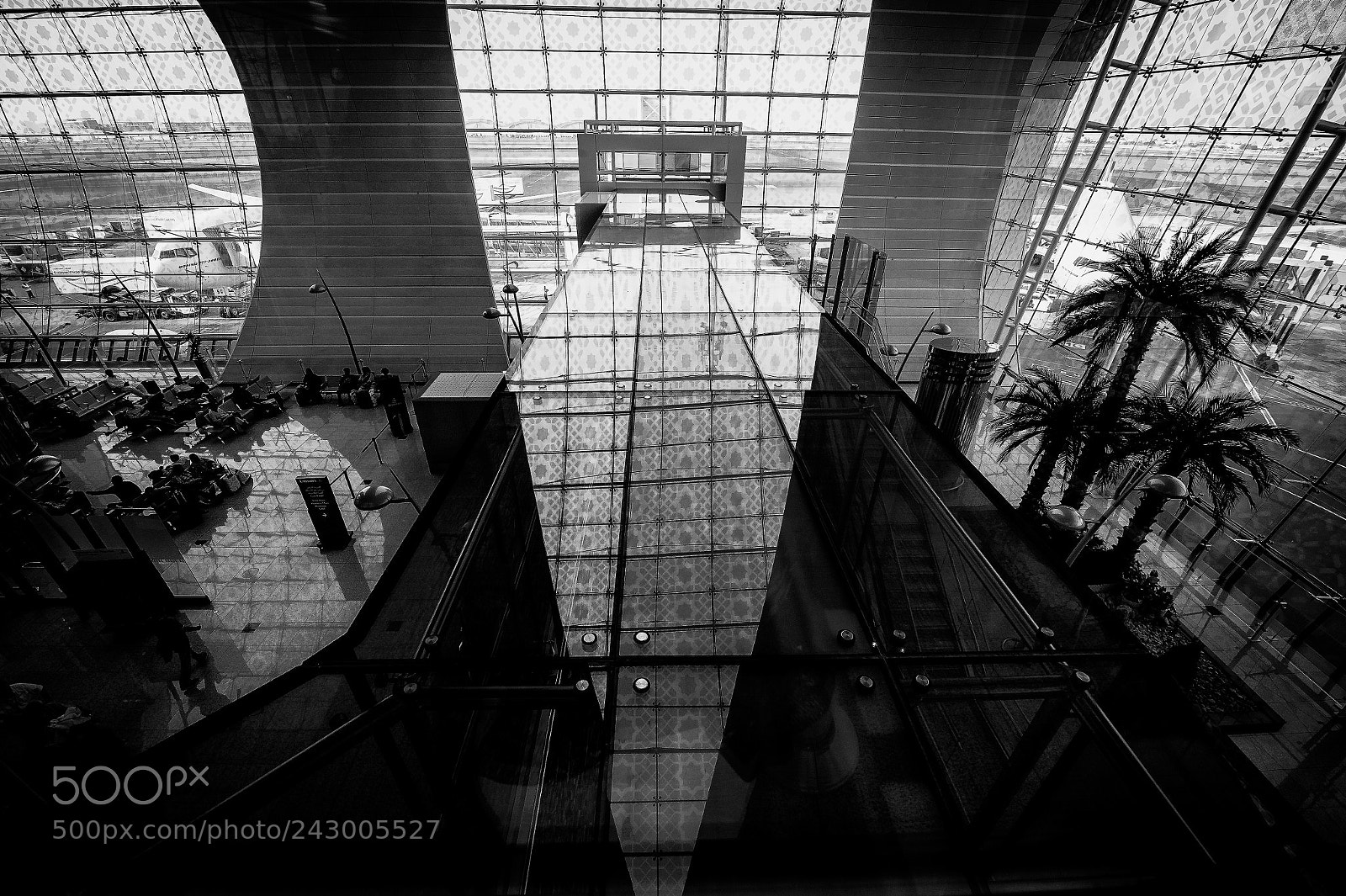 Nikon D4 sample photo. The glass bridge photography