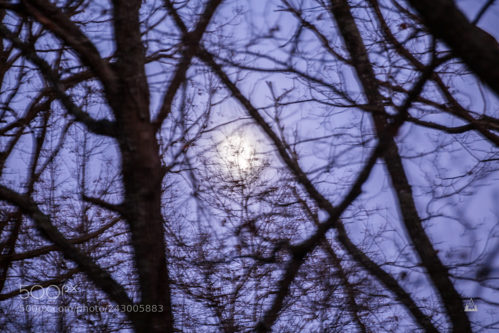 Canon EOS 6D sample photo. Moon-rise photography