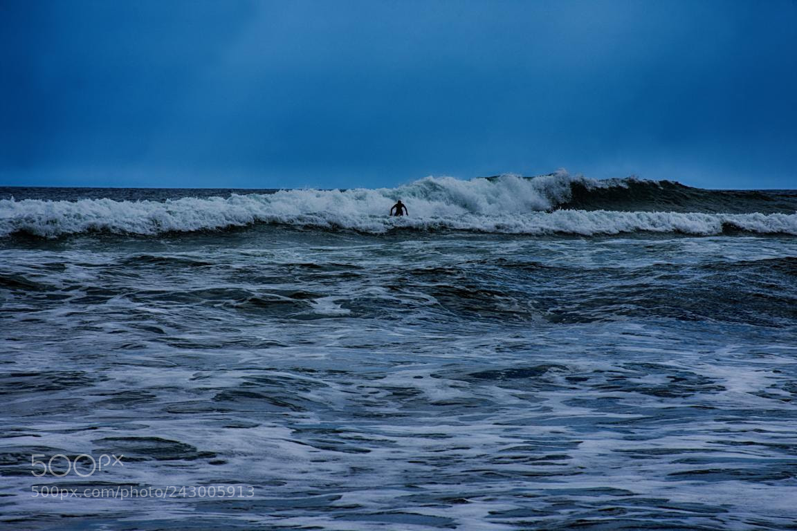 Nikon D7200 sample photo. Nz - 078 piha photography