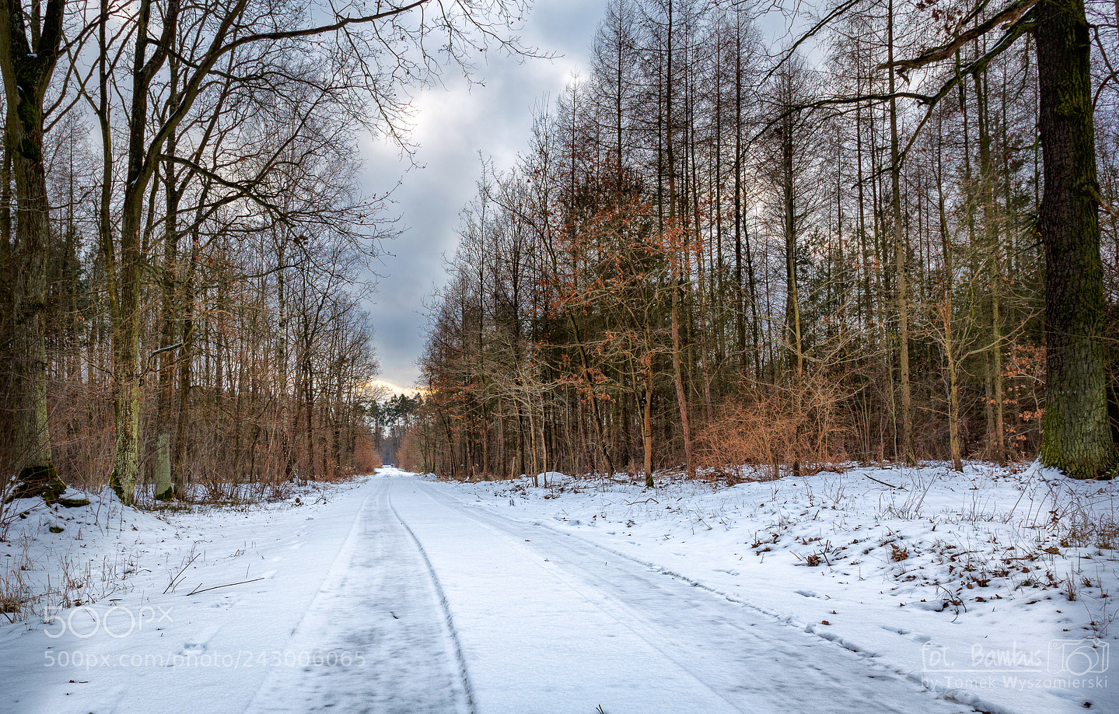 Canon EOS 6D sample photo. Winter photography