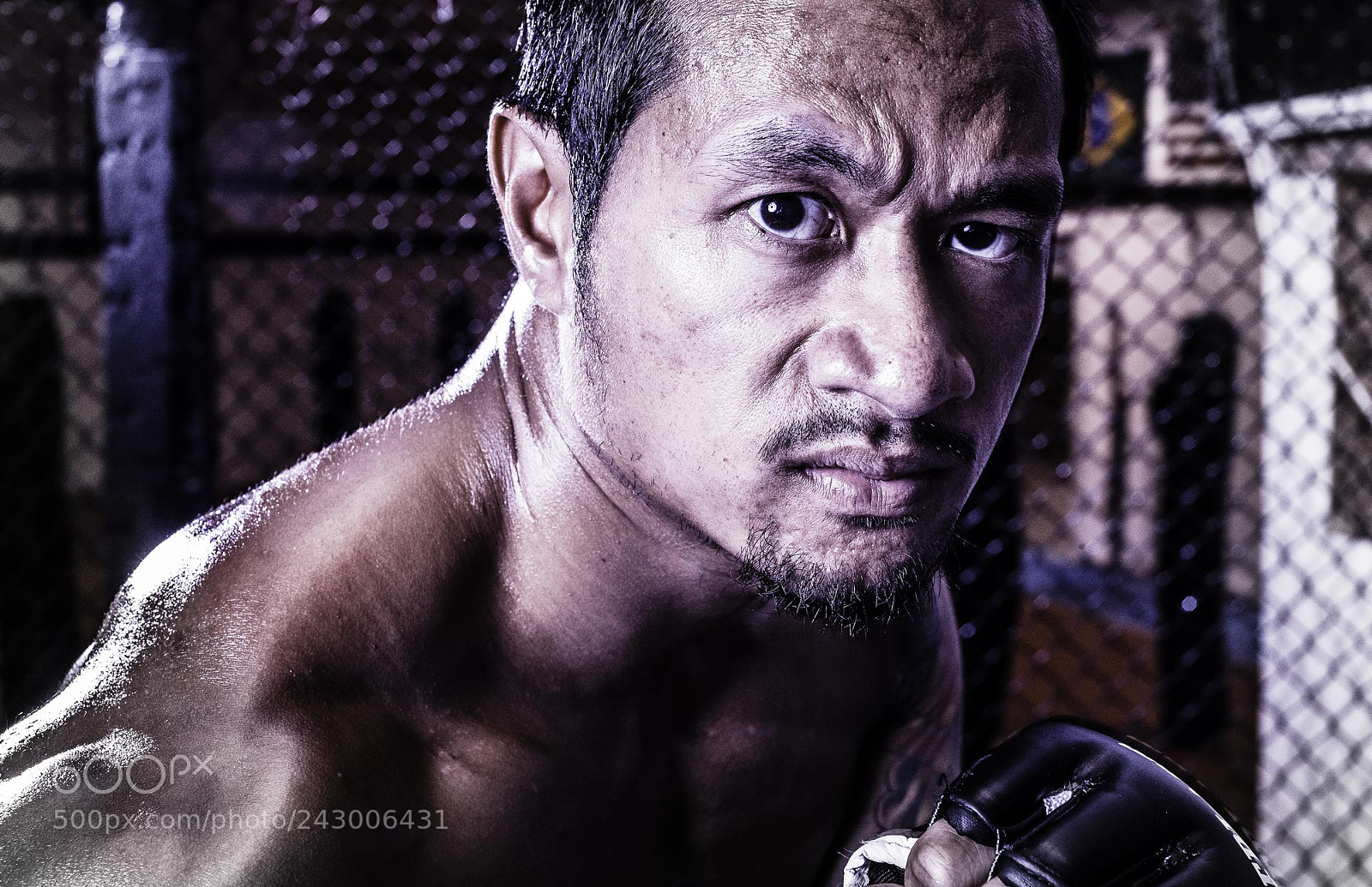 Canon EOS-1Ds Mark III sample photo. Signature gallery_ zave smith photography