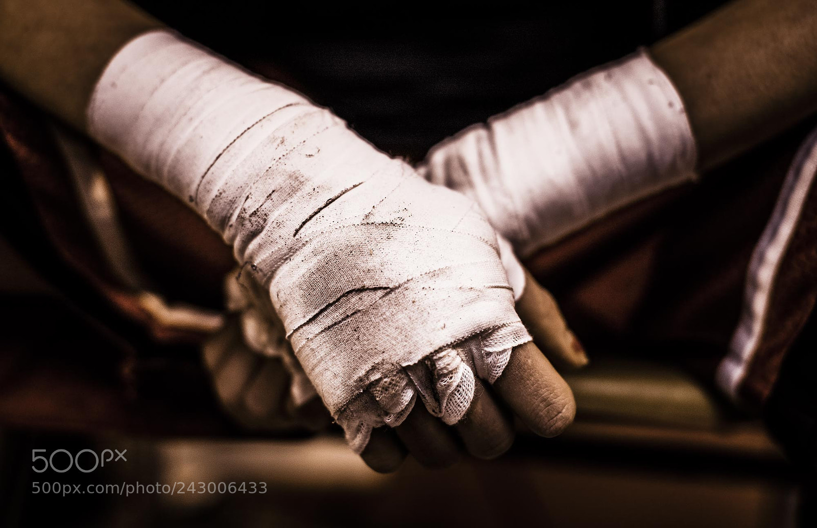 Canon EOS-1Ds Mark III sample photo. Signature gallery_ zave smith photography