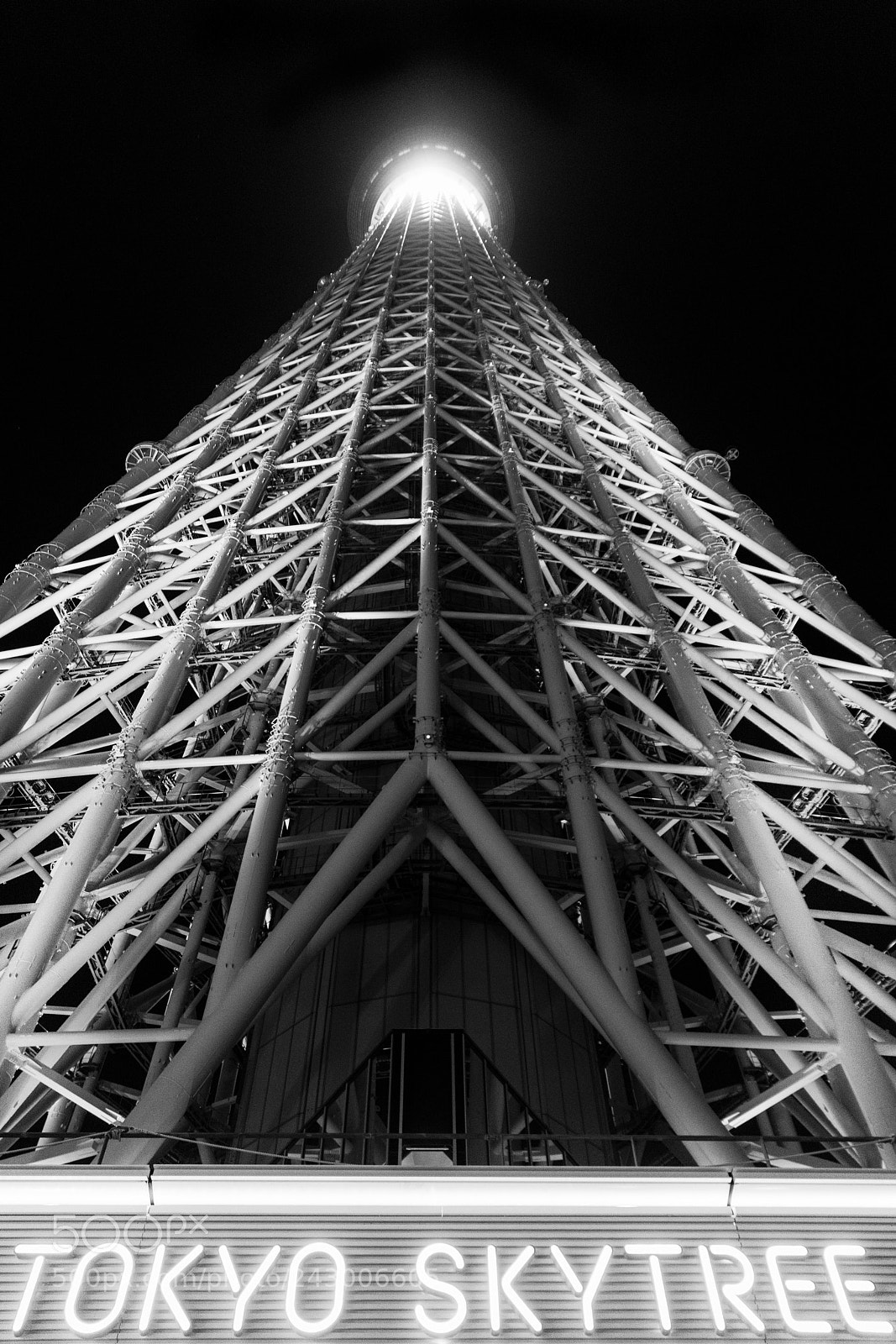 Sony a7R III sample photo. View from the ground photography