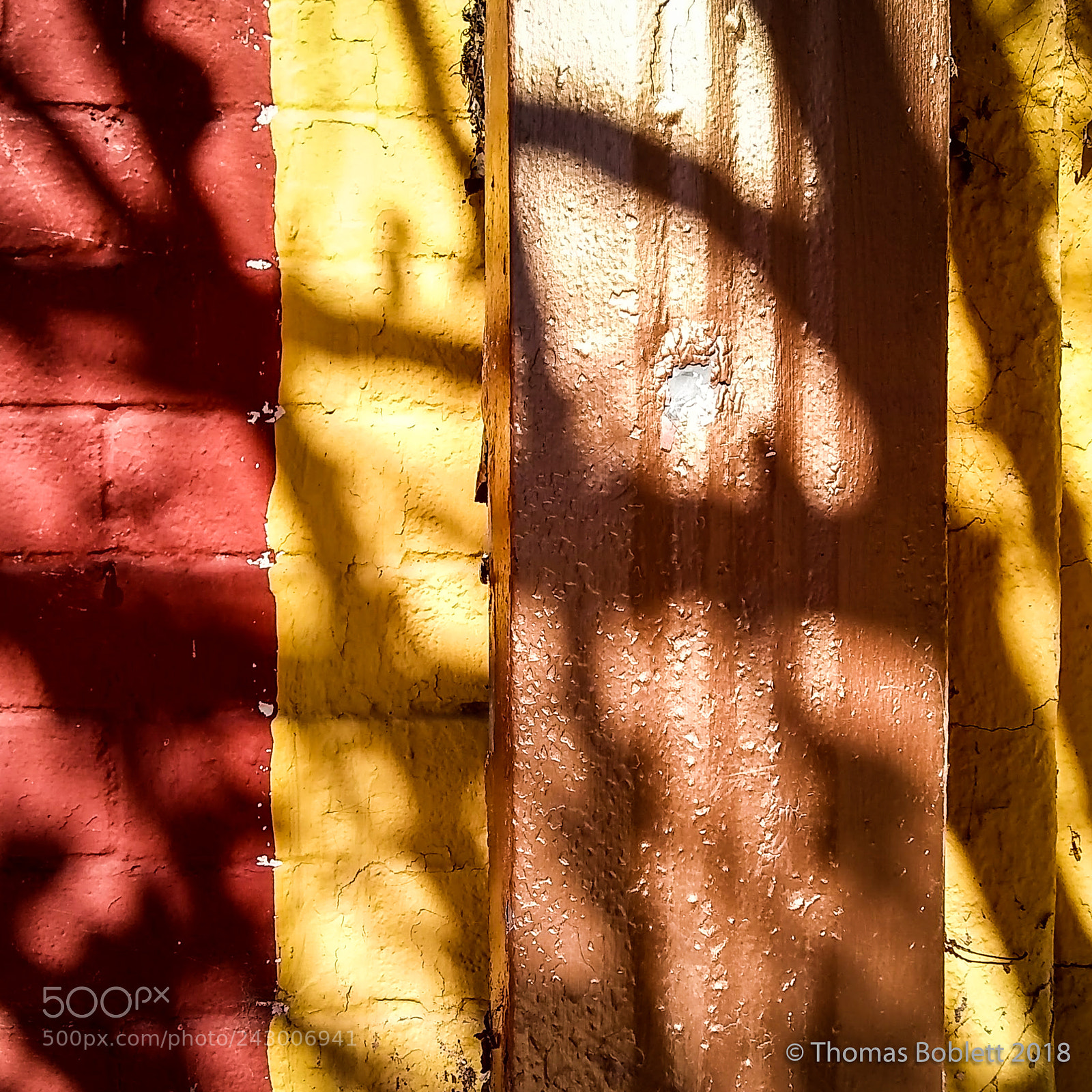 Motorola Moto E4 sample photo. Red yellow brown photography