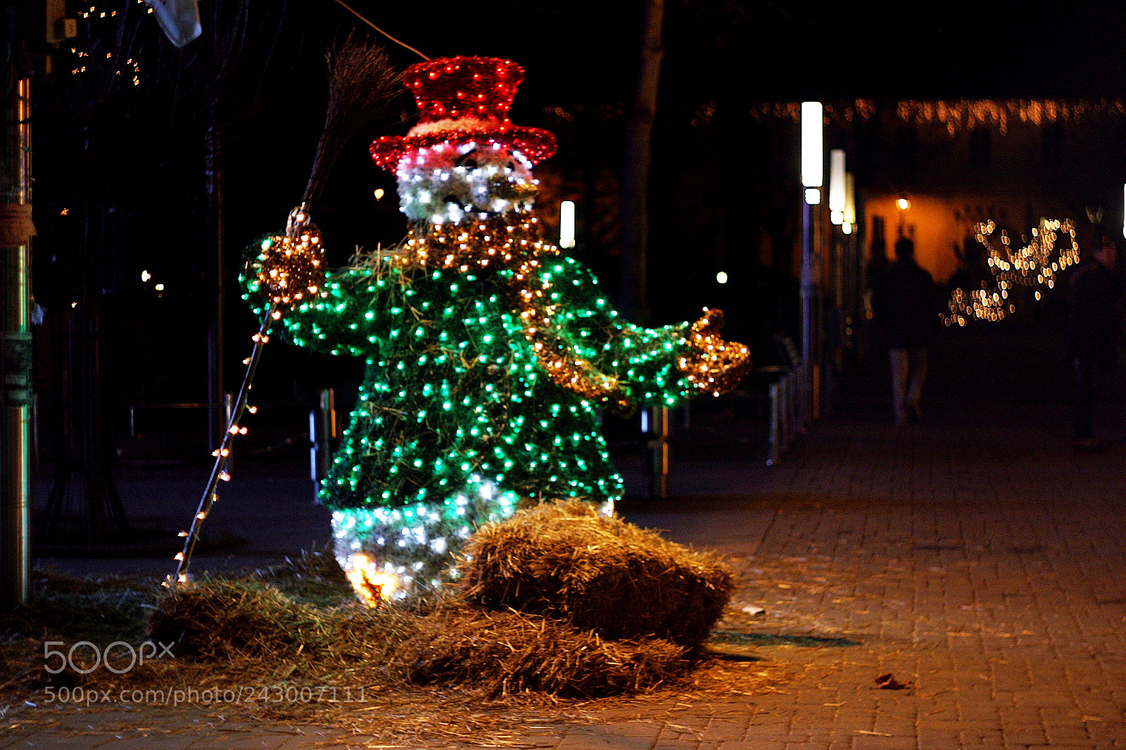 Canon EOS 10D sample photo. Dressedup snowman photography