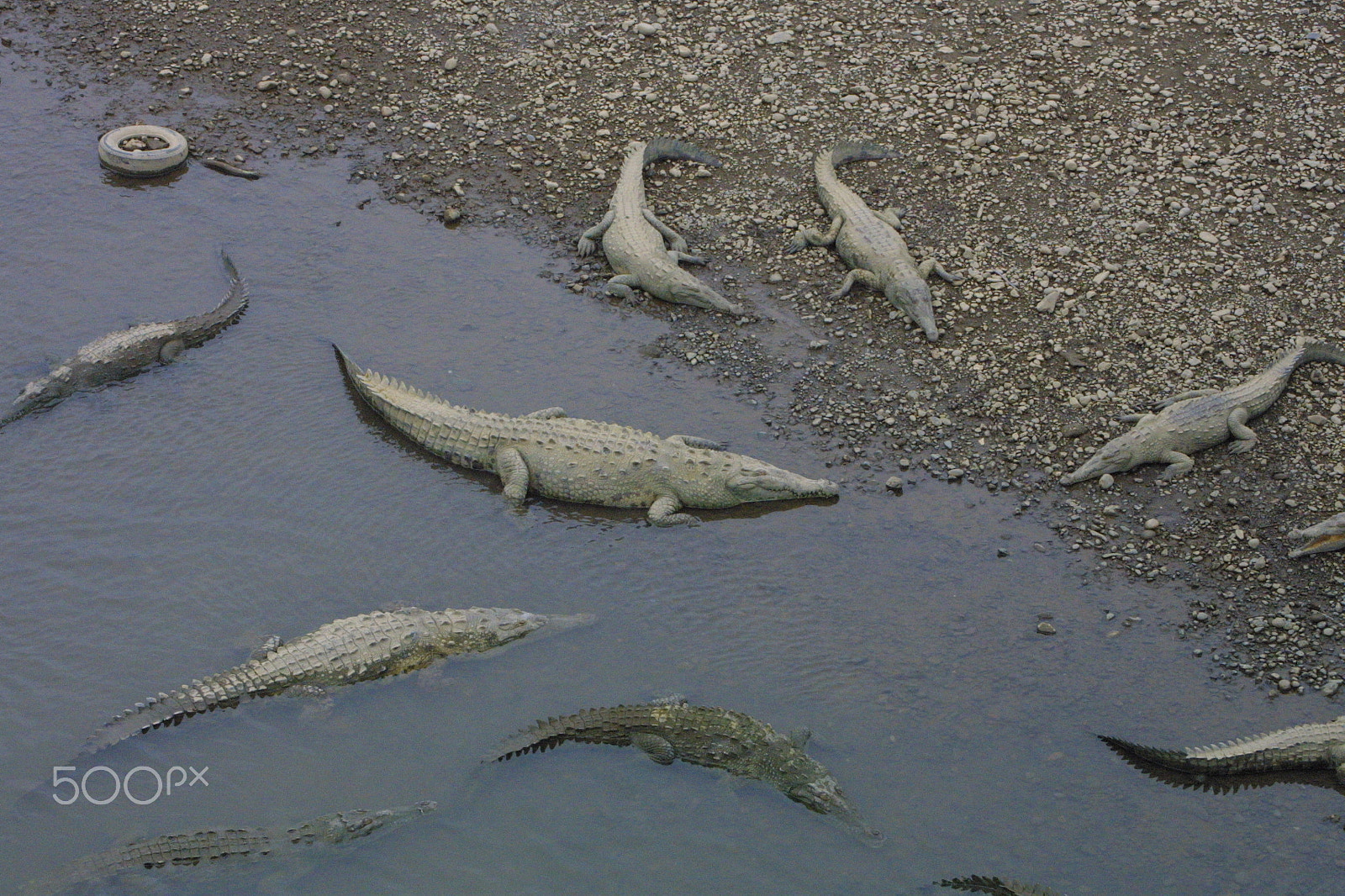 Canon EOS D30 + Canon EF 28-80mm f/3.5-5.6 sample photo. Crocs nap.. photography