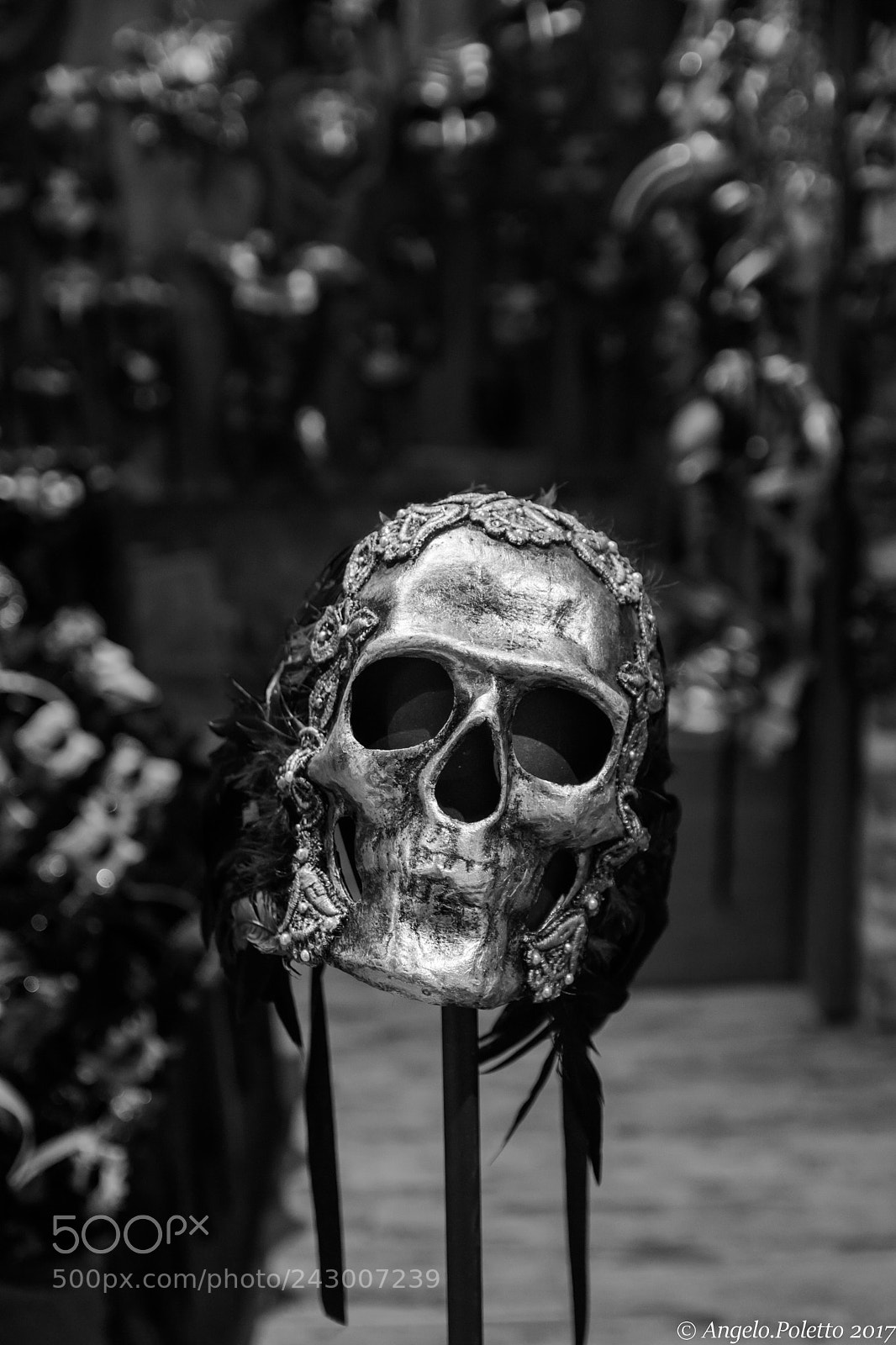 Nikon D500 sample photo. Venezia und die masken photography