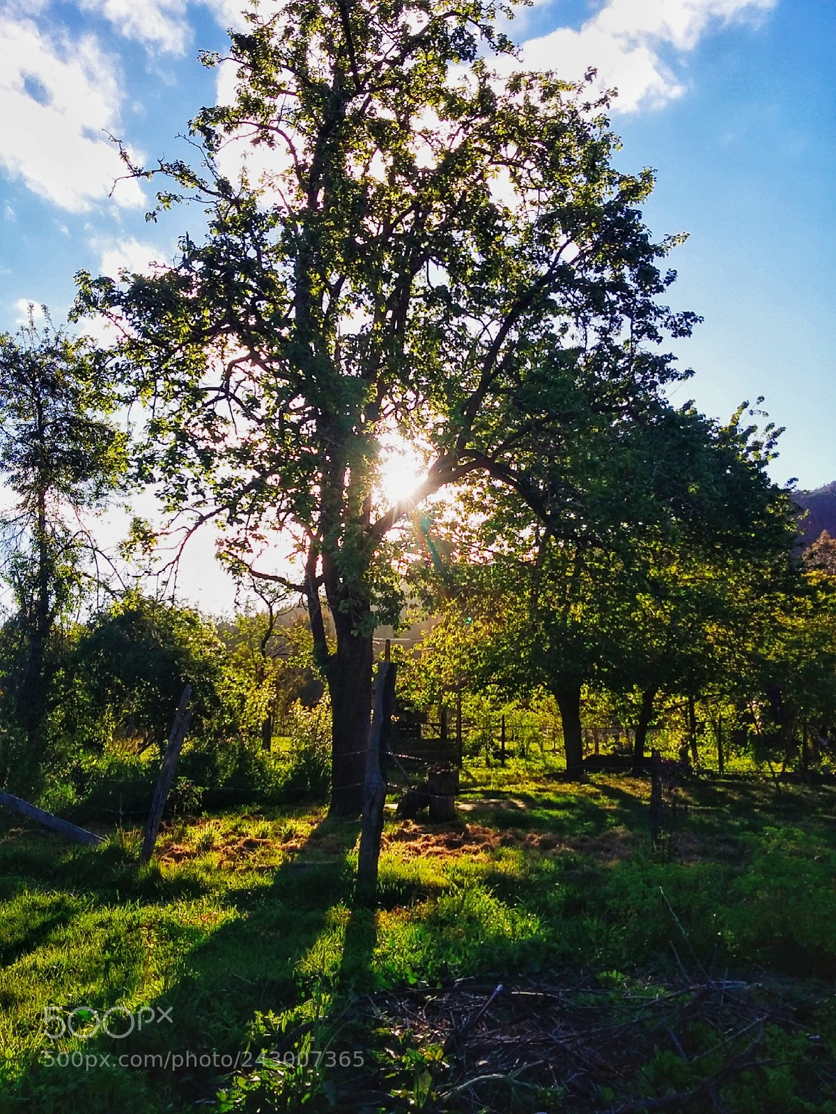 Samsung Galaxy Grand Prime sample photo. Atardecer photography