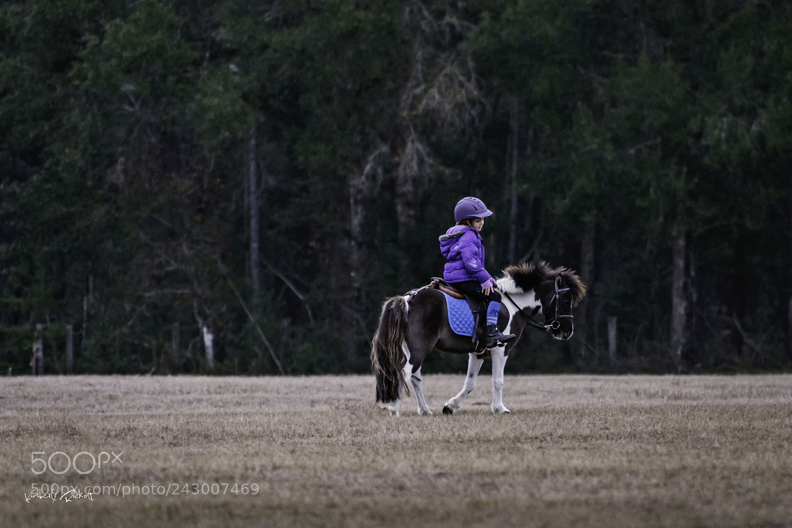 Sony a7R II sample photo. Girl & her pony photography