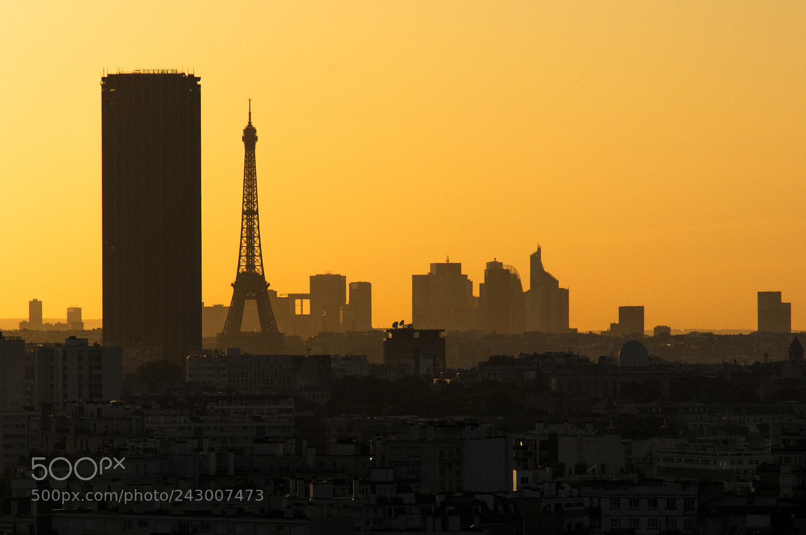 Nikon D300 sample photo. Paris backlight photography