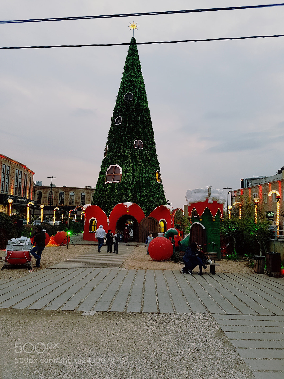 Samsung Galaxy S7 Edge sample photo. Natale photography