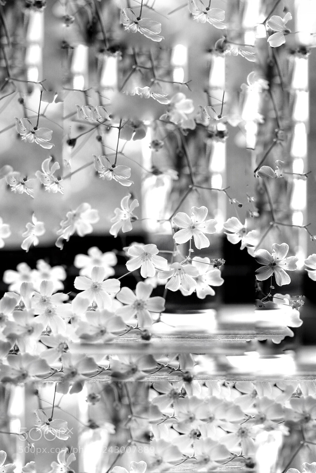 Canon EOS 750D (EOS Rebel T6i / EOS Kiss X8i) sample photo. Untitled photography