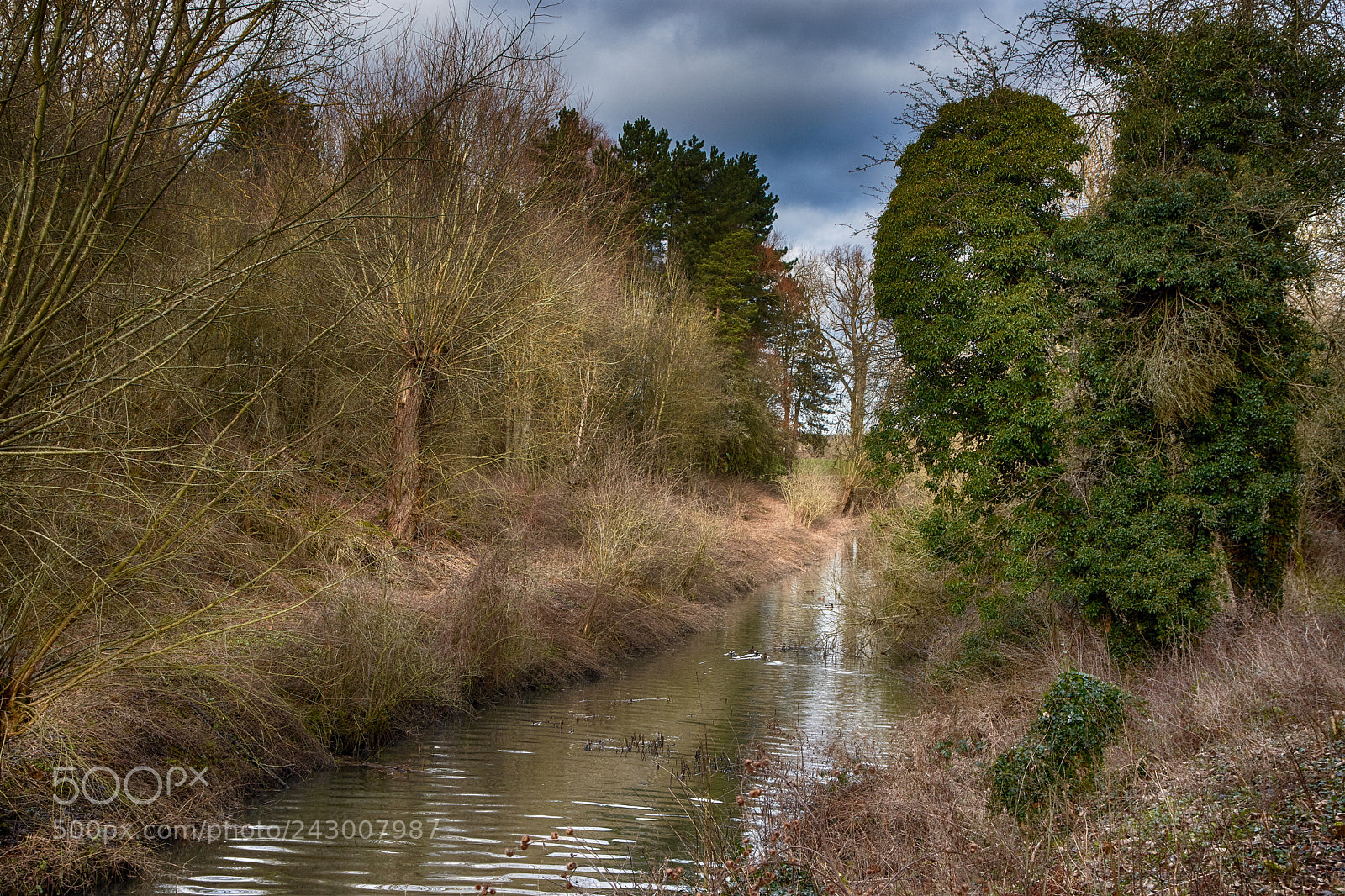 Nikon D7200 sample photo. Watferford heath photography