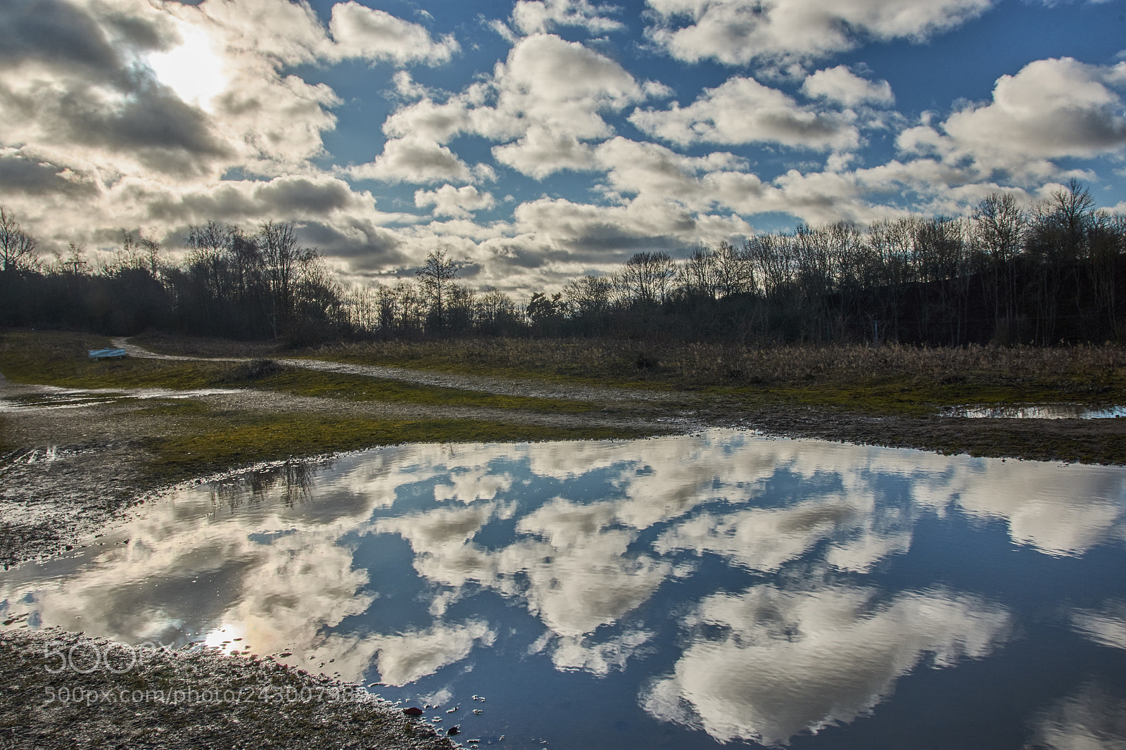 Nikon D7200 sample photo. Watferford heath photography