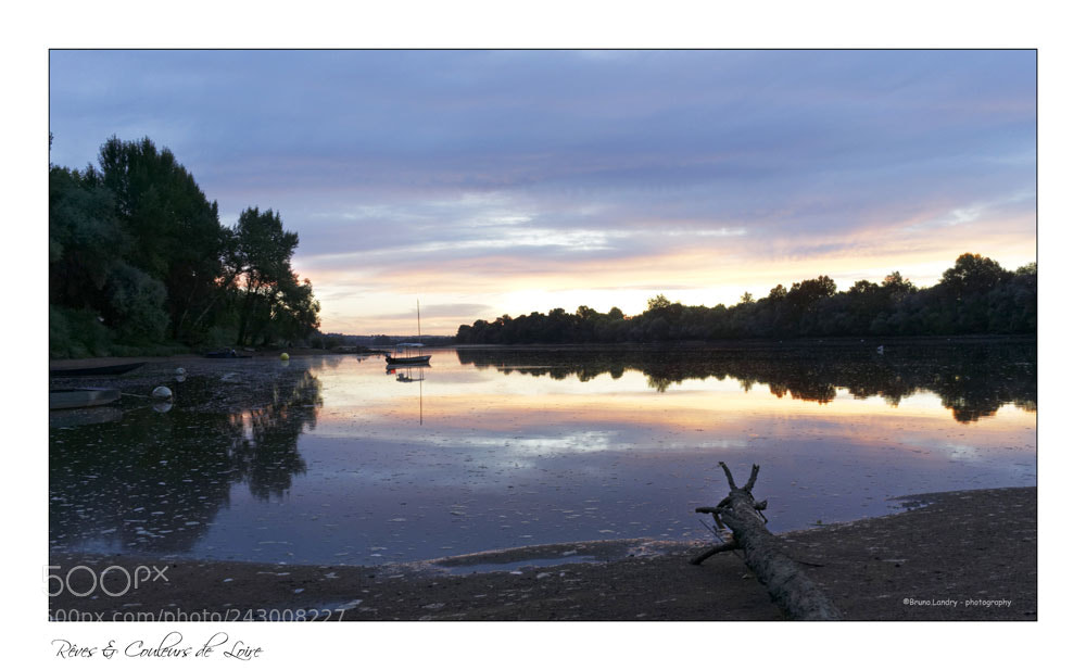 Sony a7 sample photo. Lumière sur loire photography