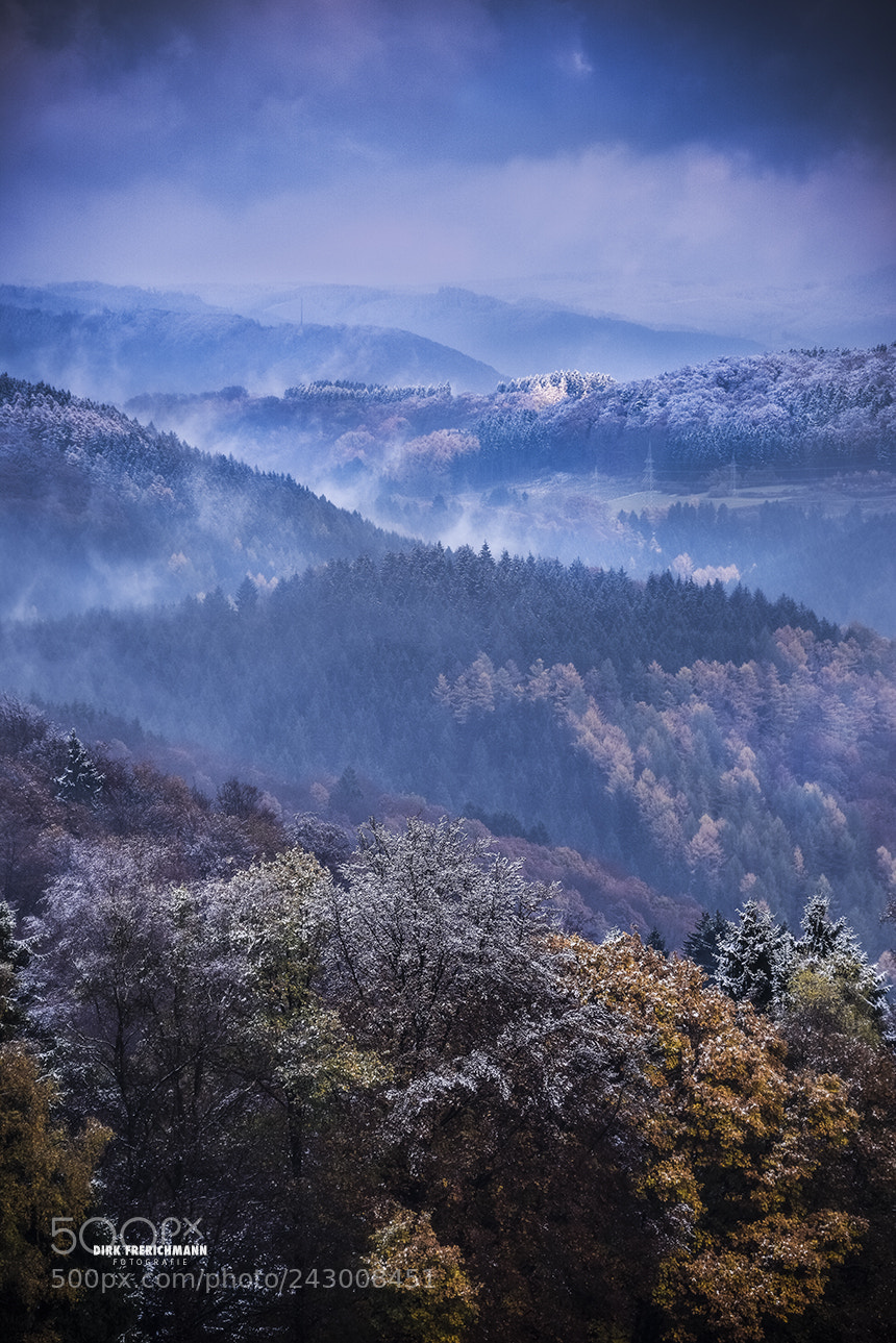 Nikon D810 sample photo. Sauerland | winter photography