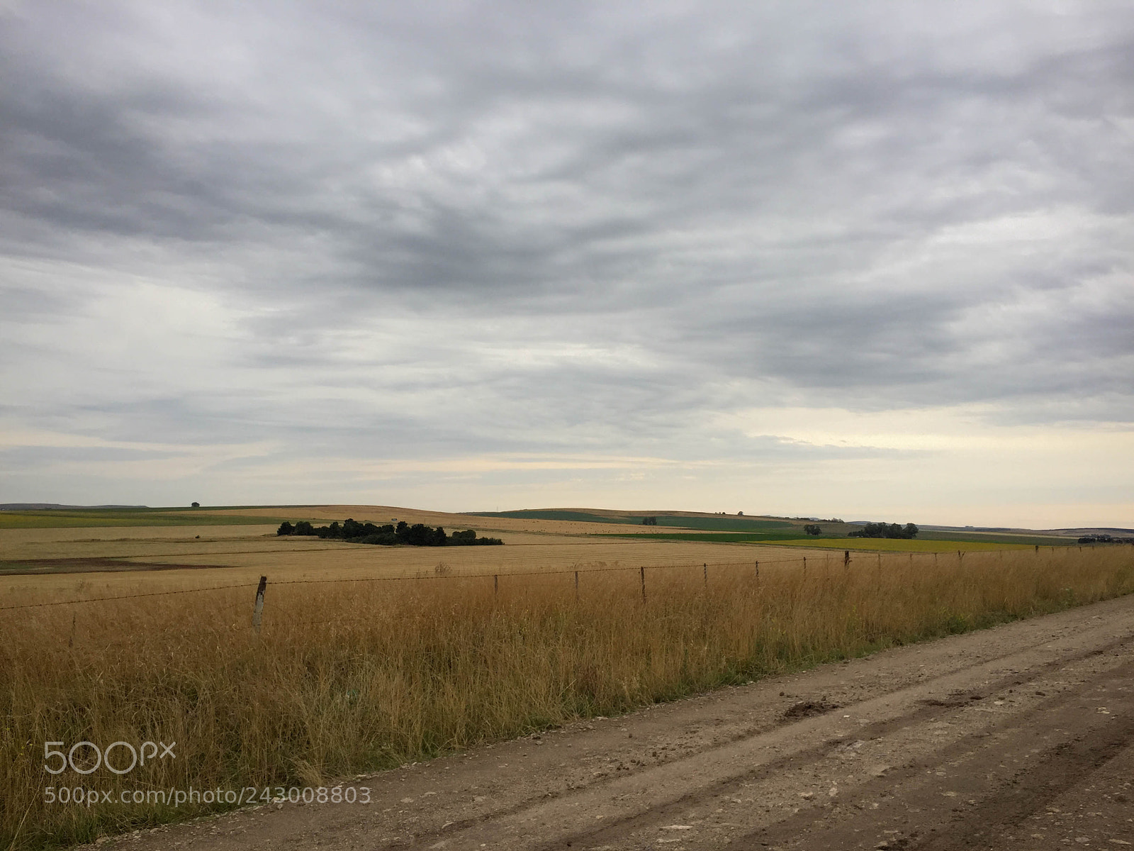 Apple iPhone 6 sample photo. Campos en enero, tandil photography