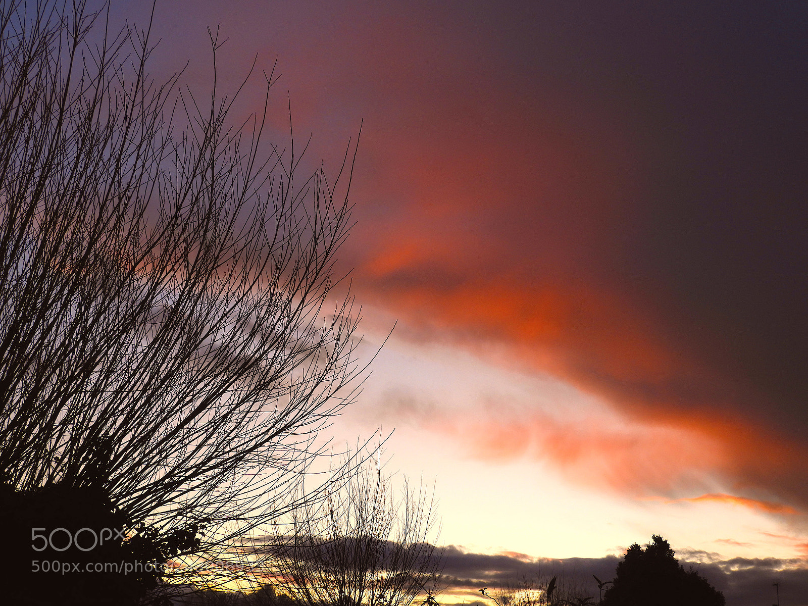 Nikon Coolpix B700 sample photo. Cambridge sunset and willow photography