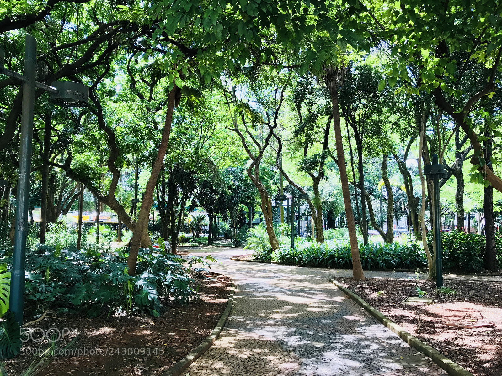 Apple iPhone 7 sample photo. Garden photography