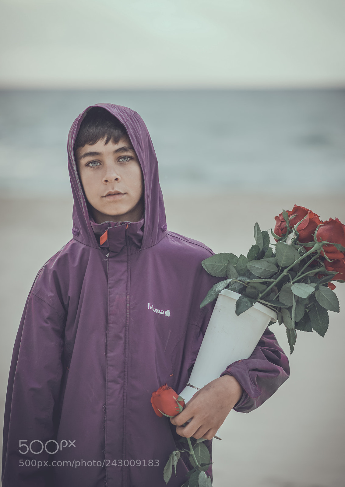 Sony a7R II sample photo. Innocence - the seller photography