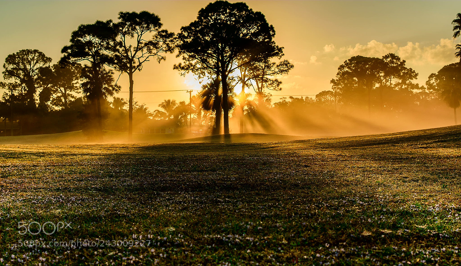 Nikon D5500 sample photo. Untitled photography