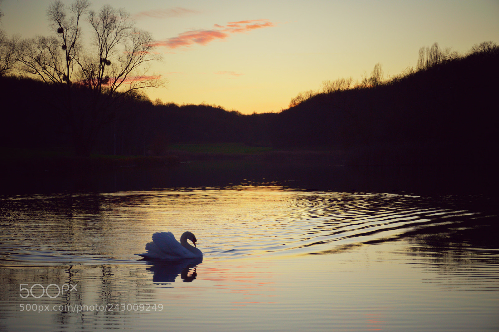 Nikon D3200 sample photo. Douce soirée photography