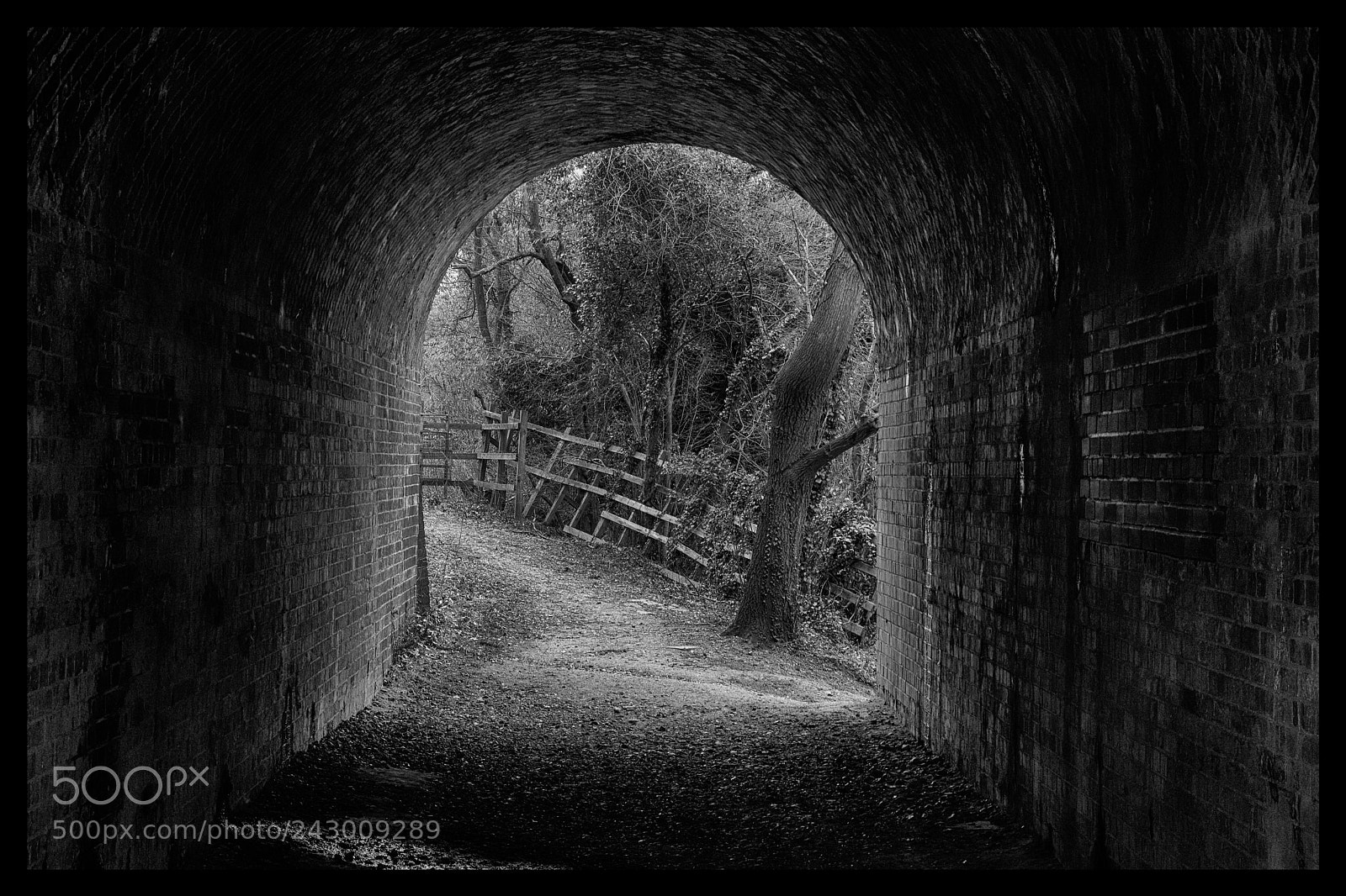 Nikon D7200 sample photo. Railway arches photography