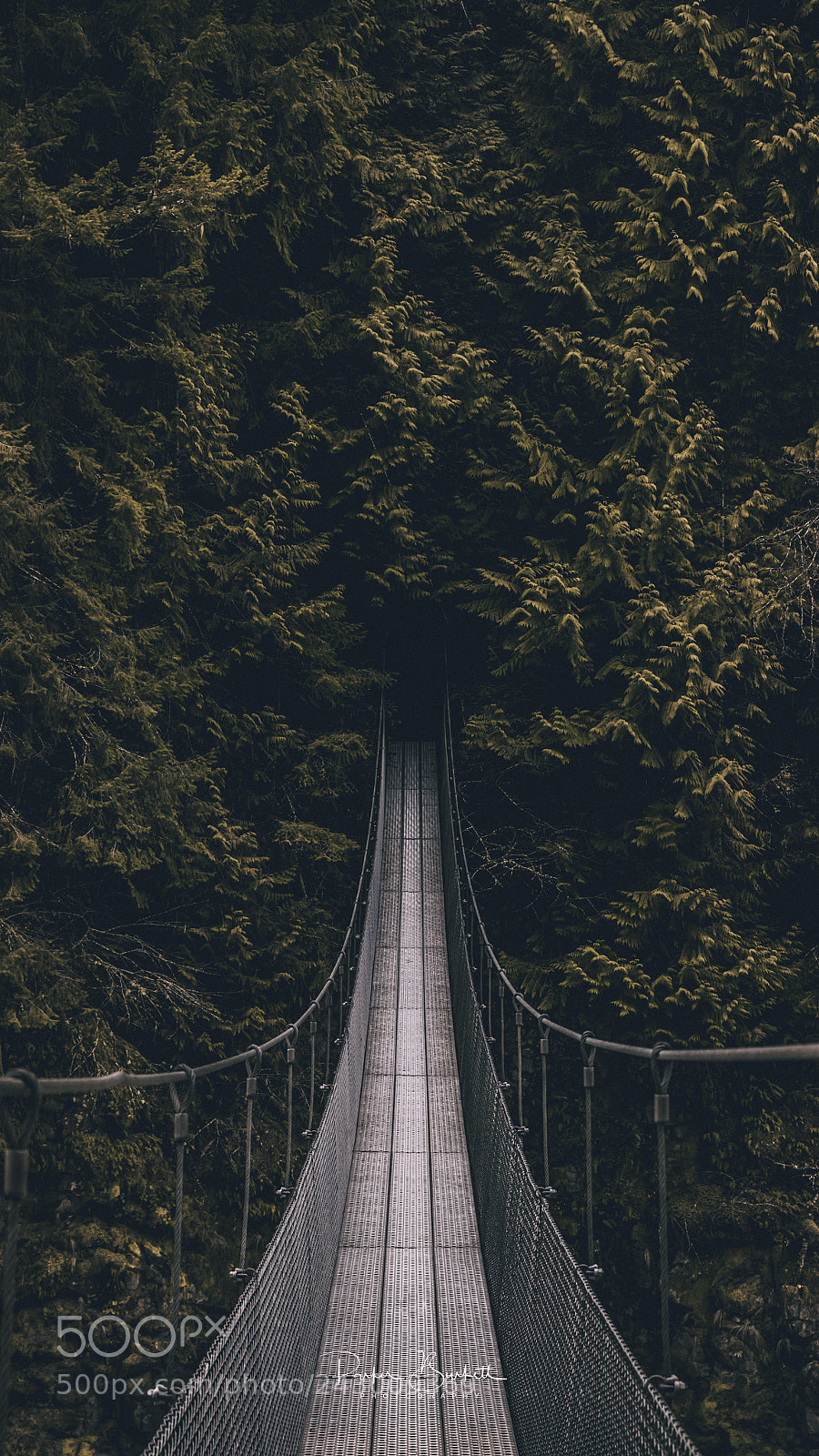 Canon EOS-1D X Mark II sample photo. Into the unknown.... photography