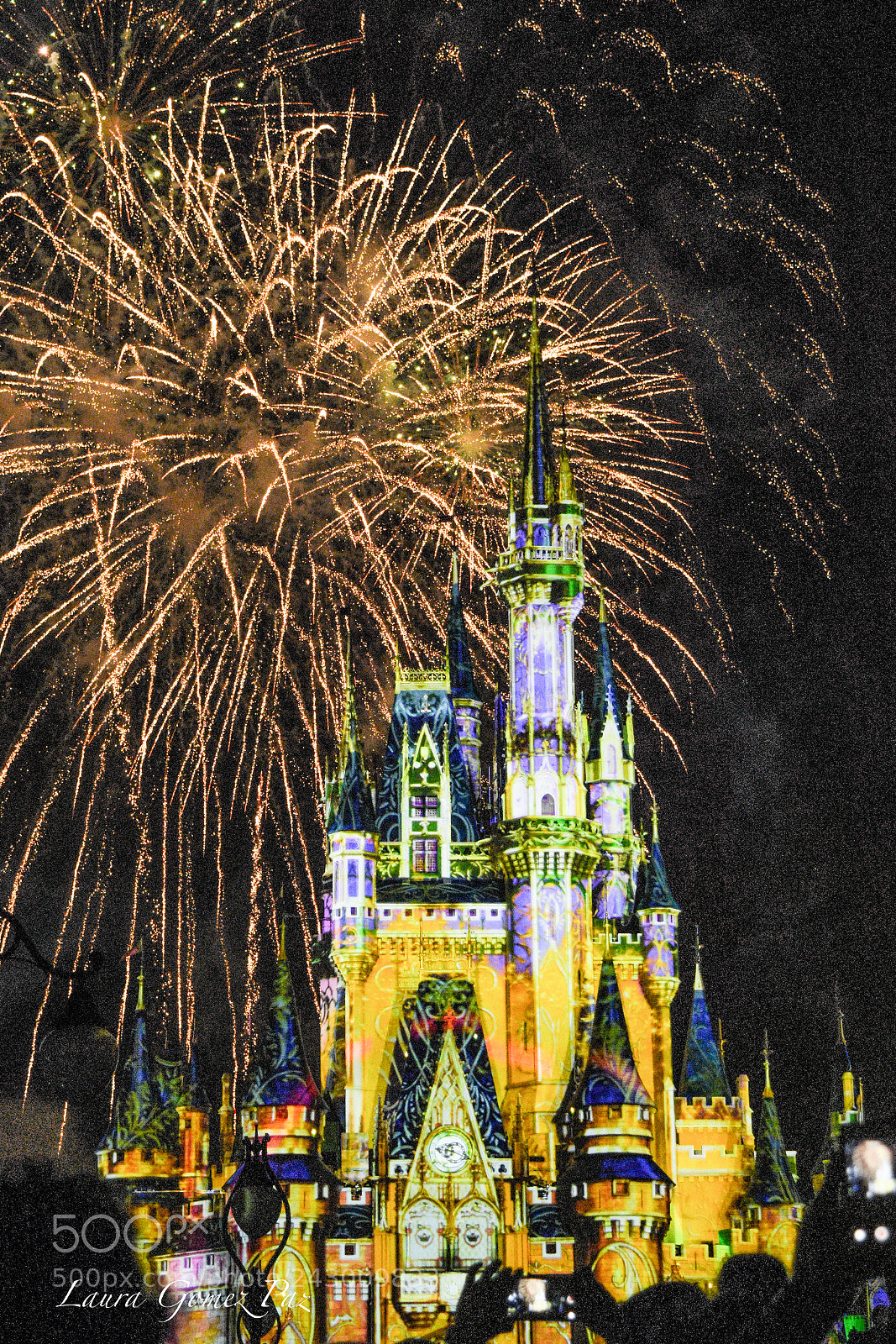 Nikon D7200 sample photo. Happily ever after photography