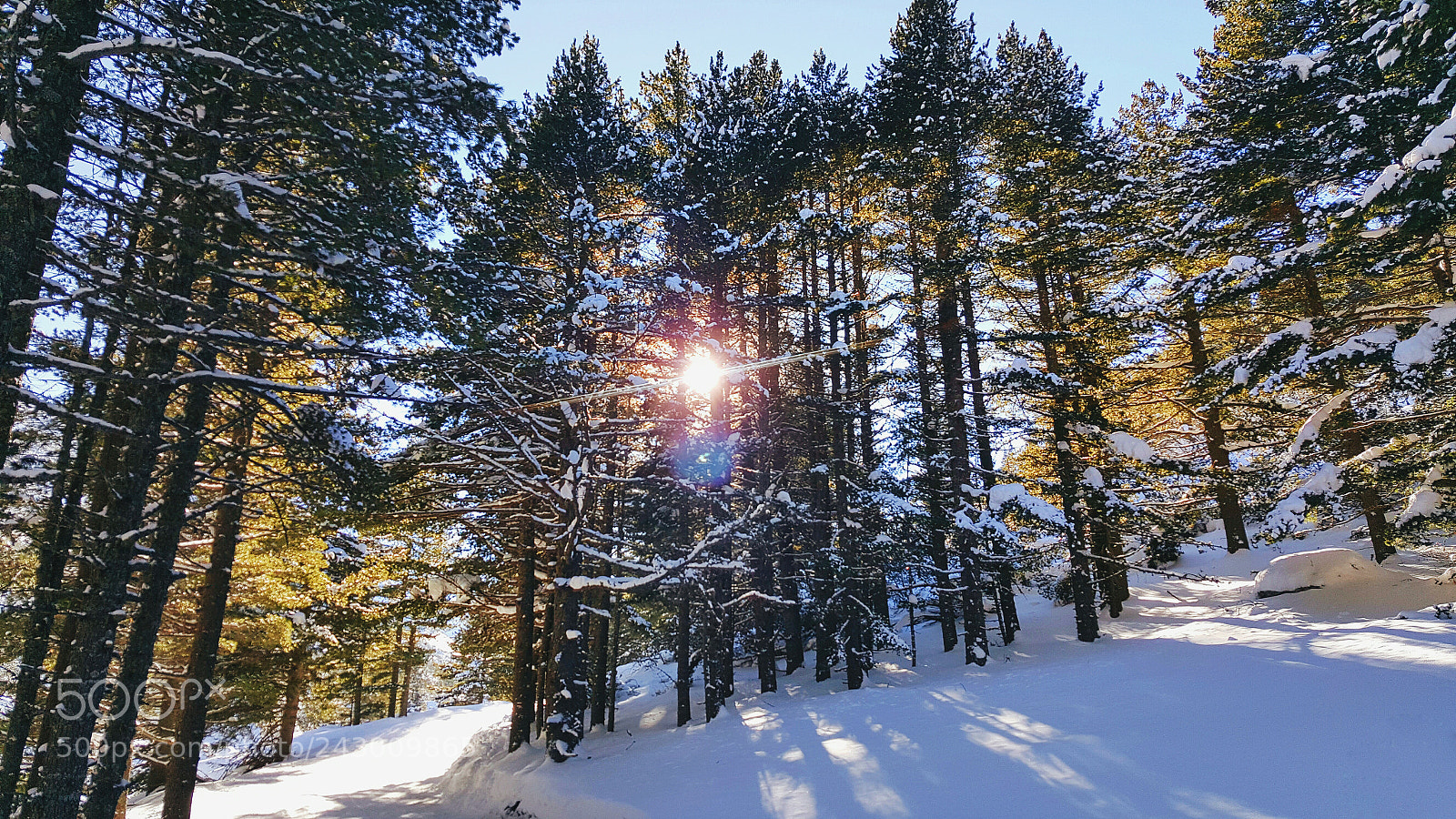 Samsung GALAXY S6 edge sample photo. Magical winter day photography